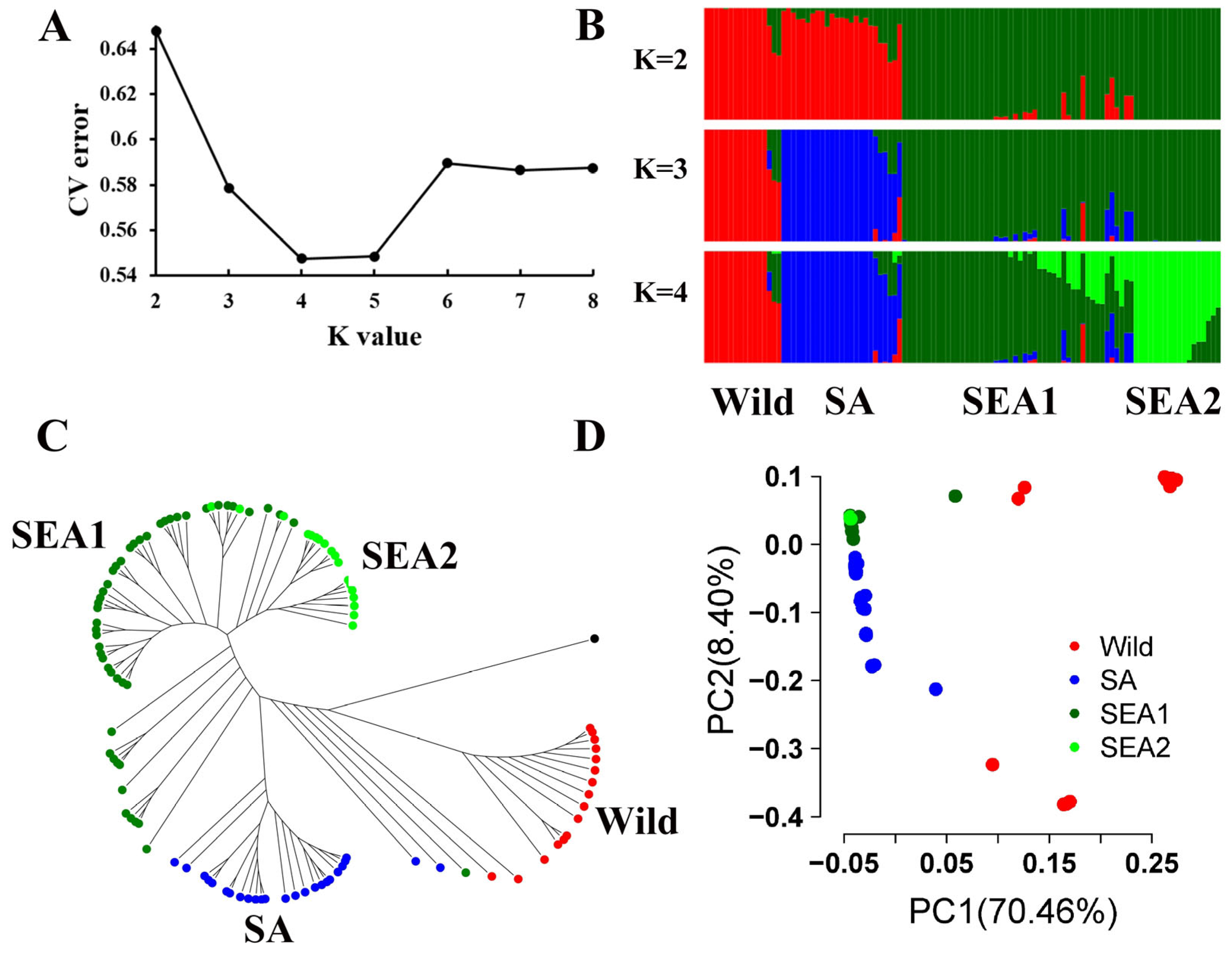 Plants 12 03585 g002