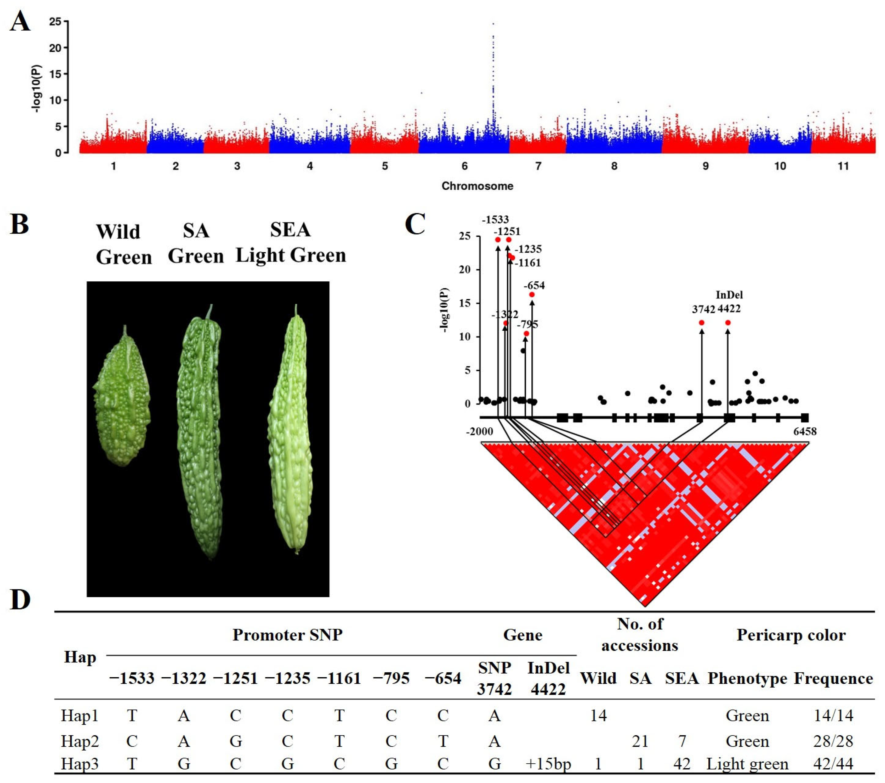 Plants 12 03585 g003
