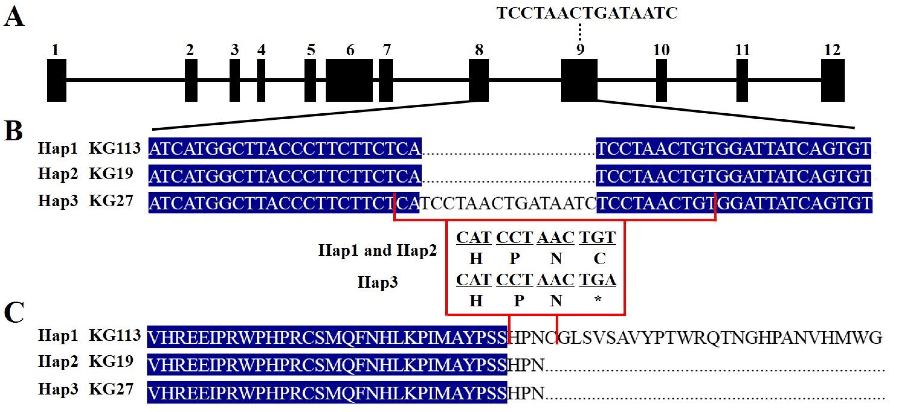Plants 12 03585 g005