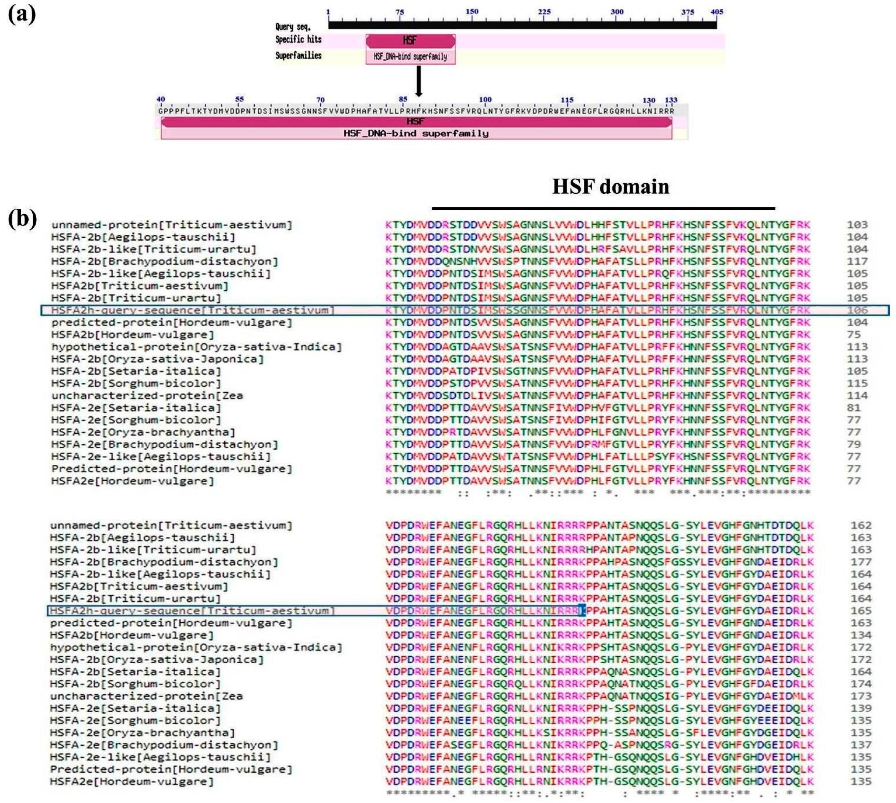 Plants 12 03598 g001