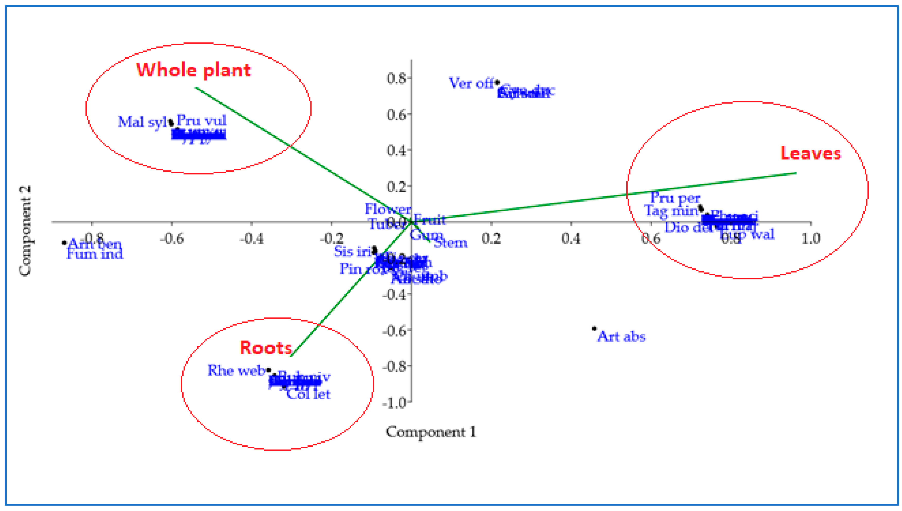 Plants 12 03599 g004
