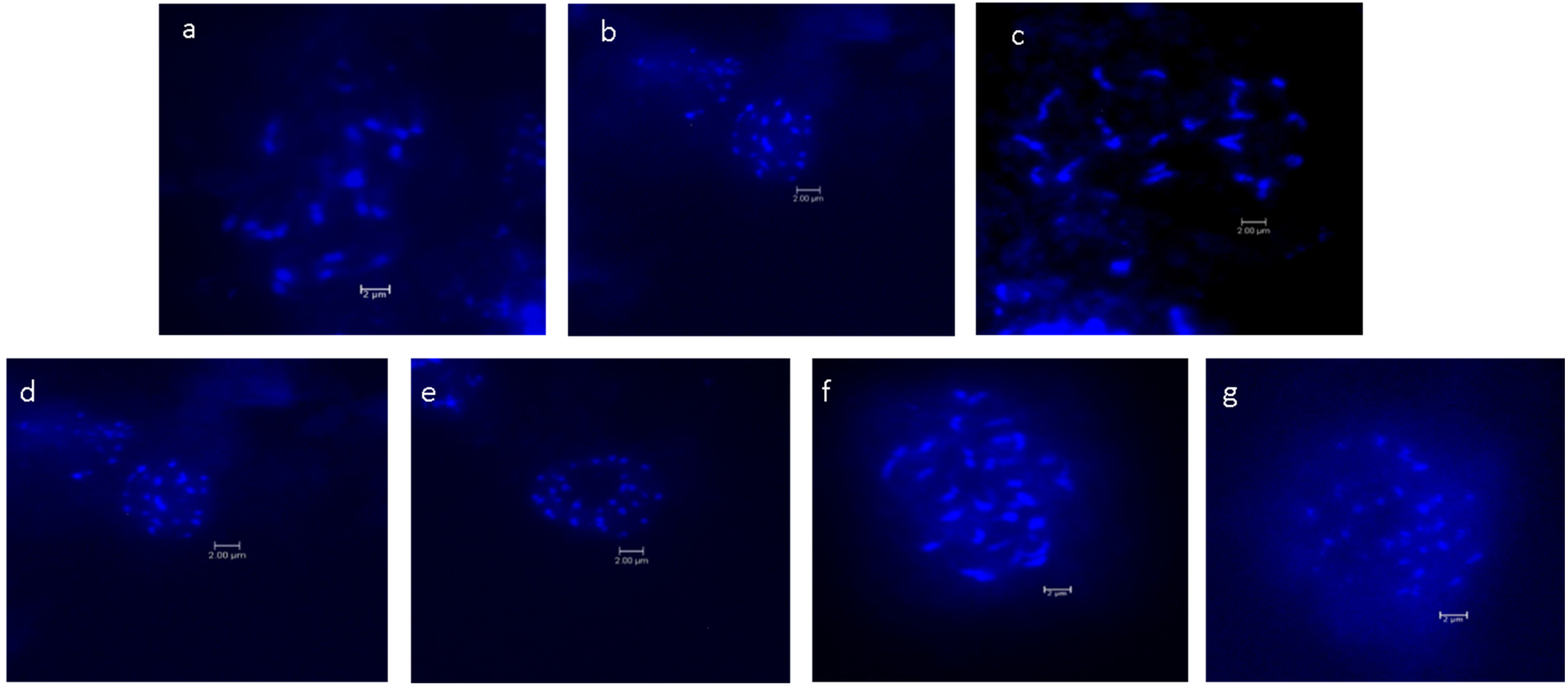 Plants 12 03605 g001