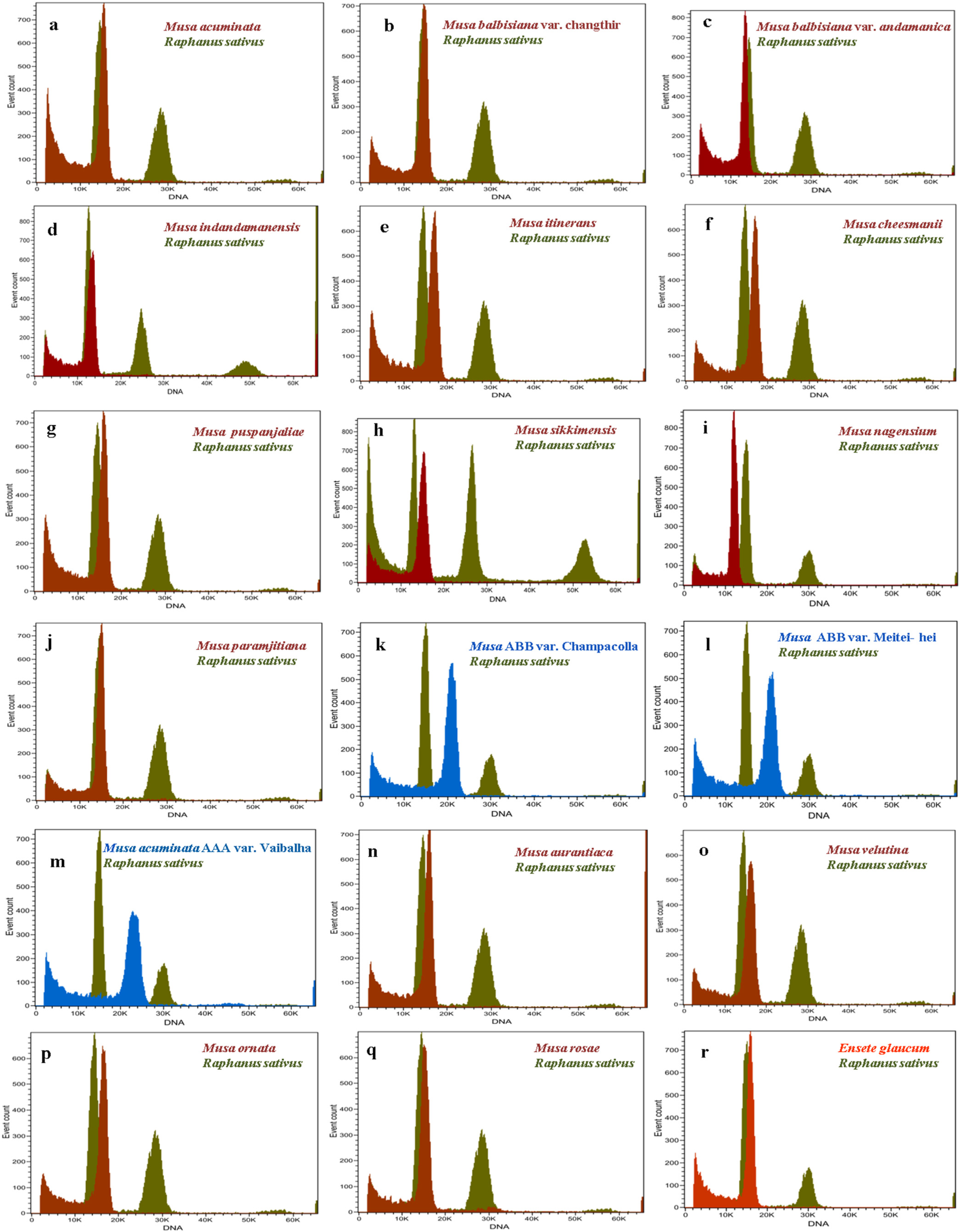 Plants 12 03605 g002