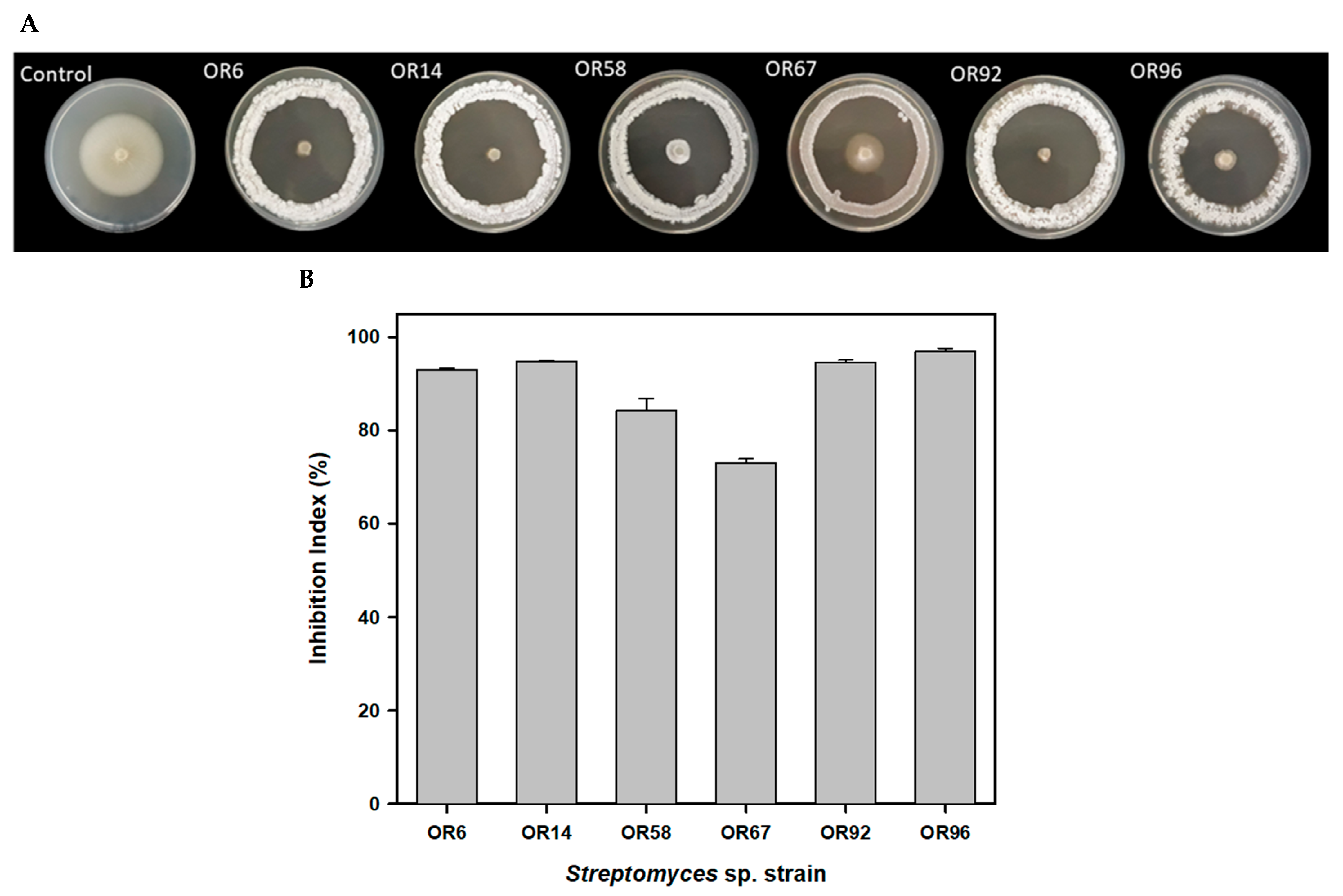 Plants 12 03612 g001