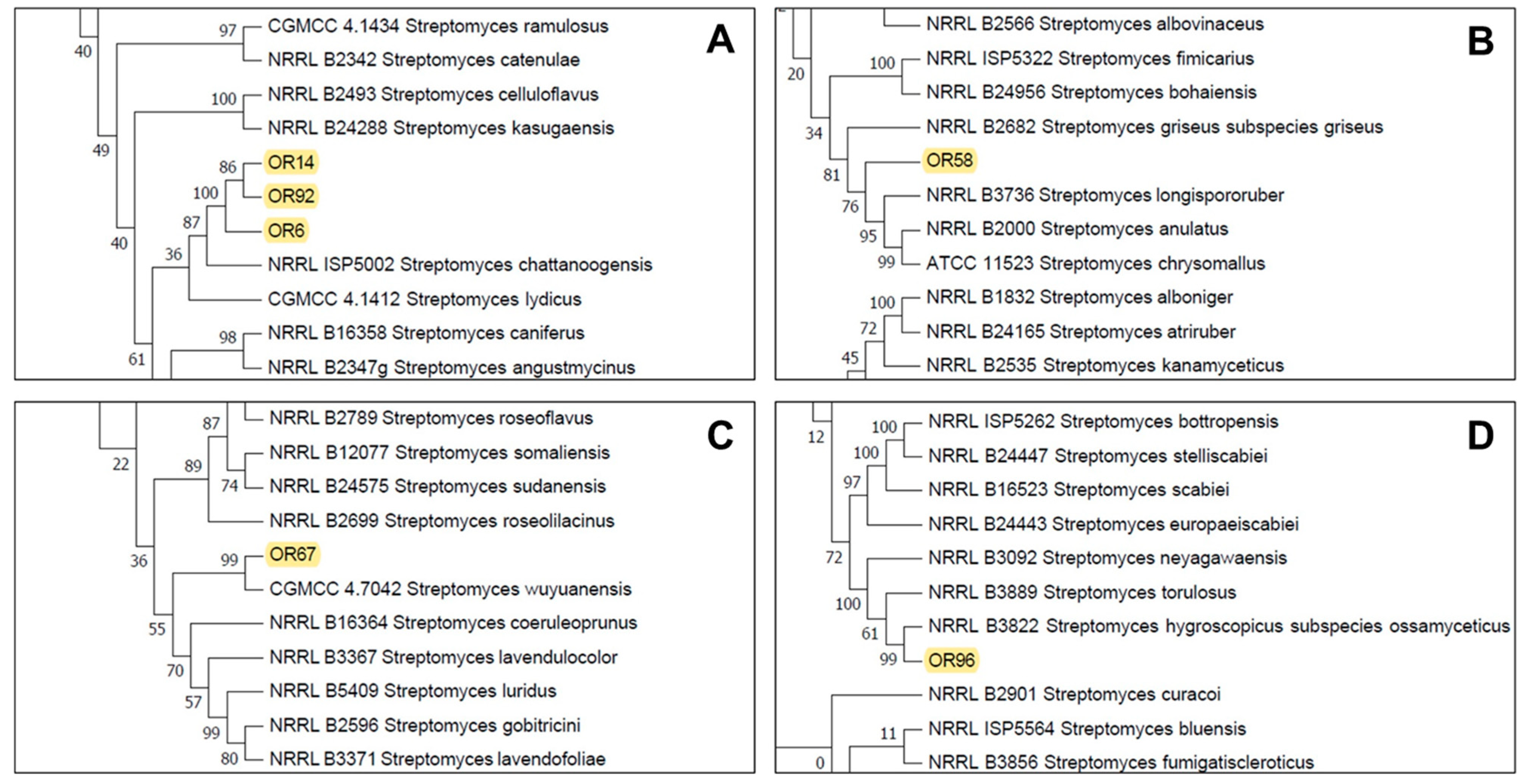 Plants 12 03612 g002