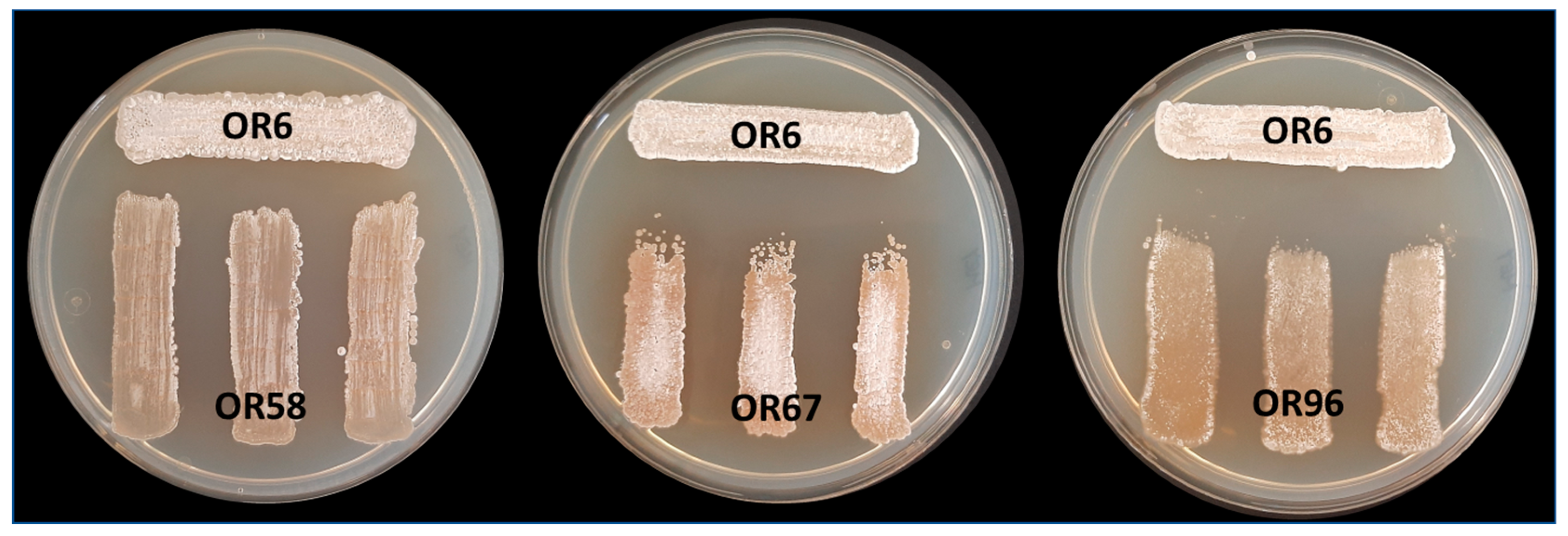 Plants 12 03612 g003