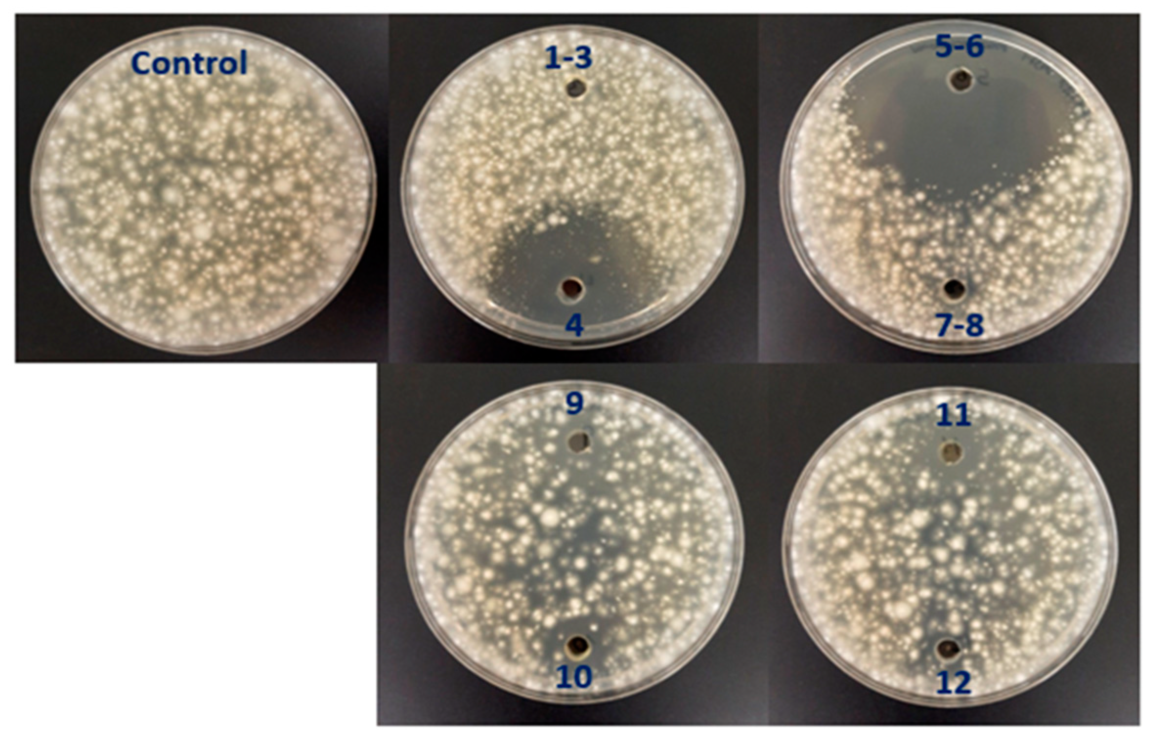 Plants 12 03612 g005