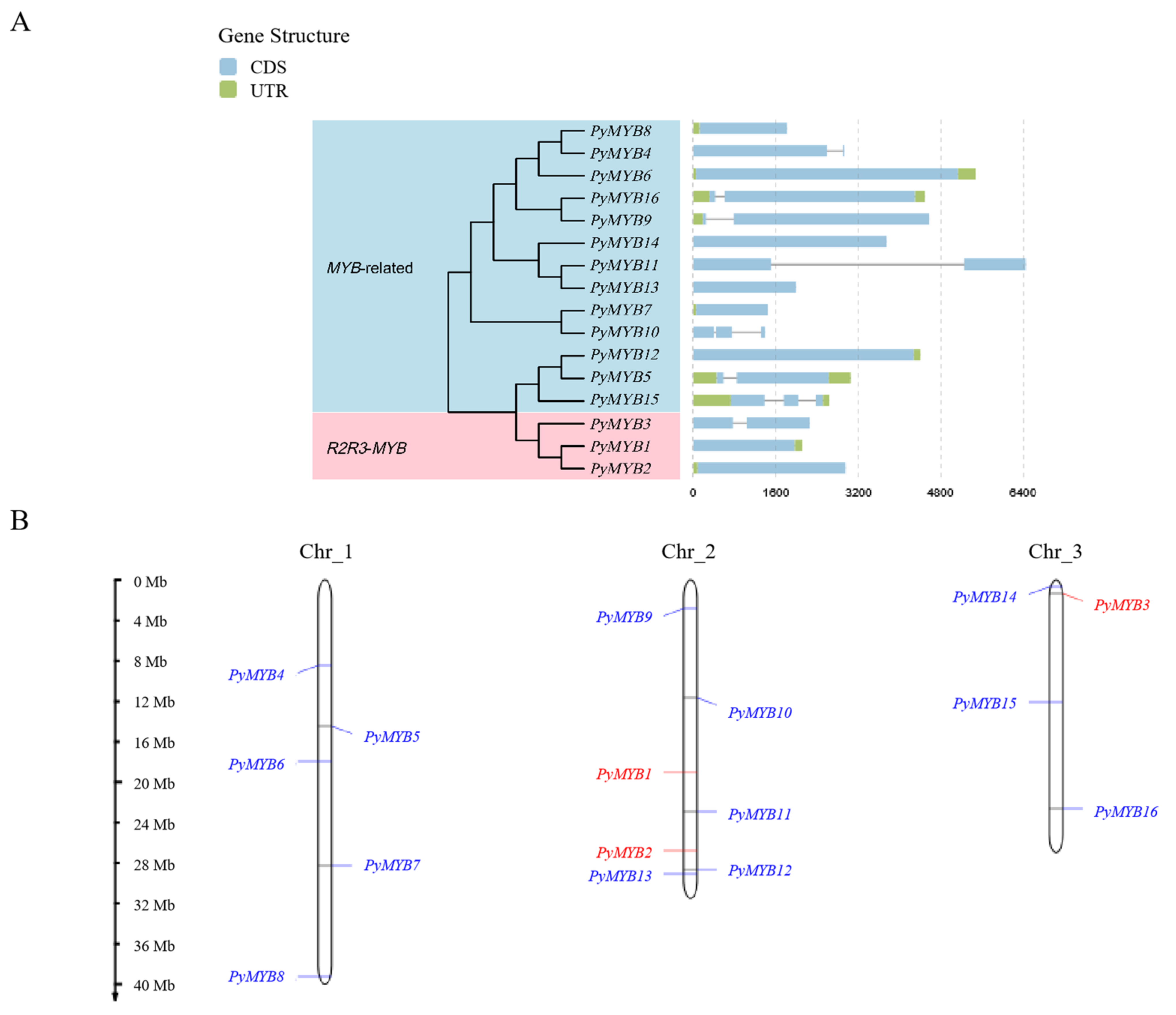 Plants 12 03613 g001