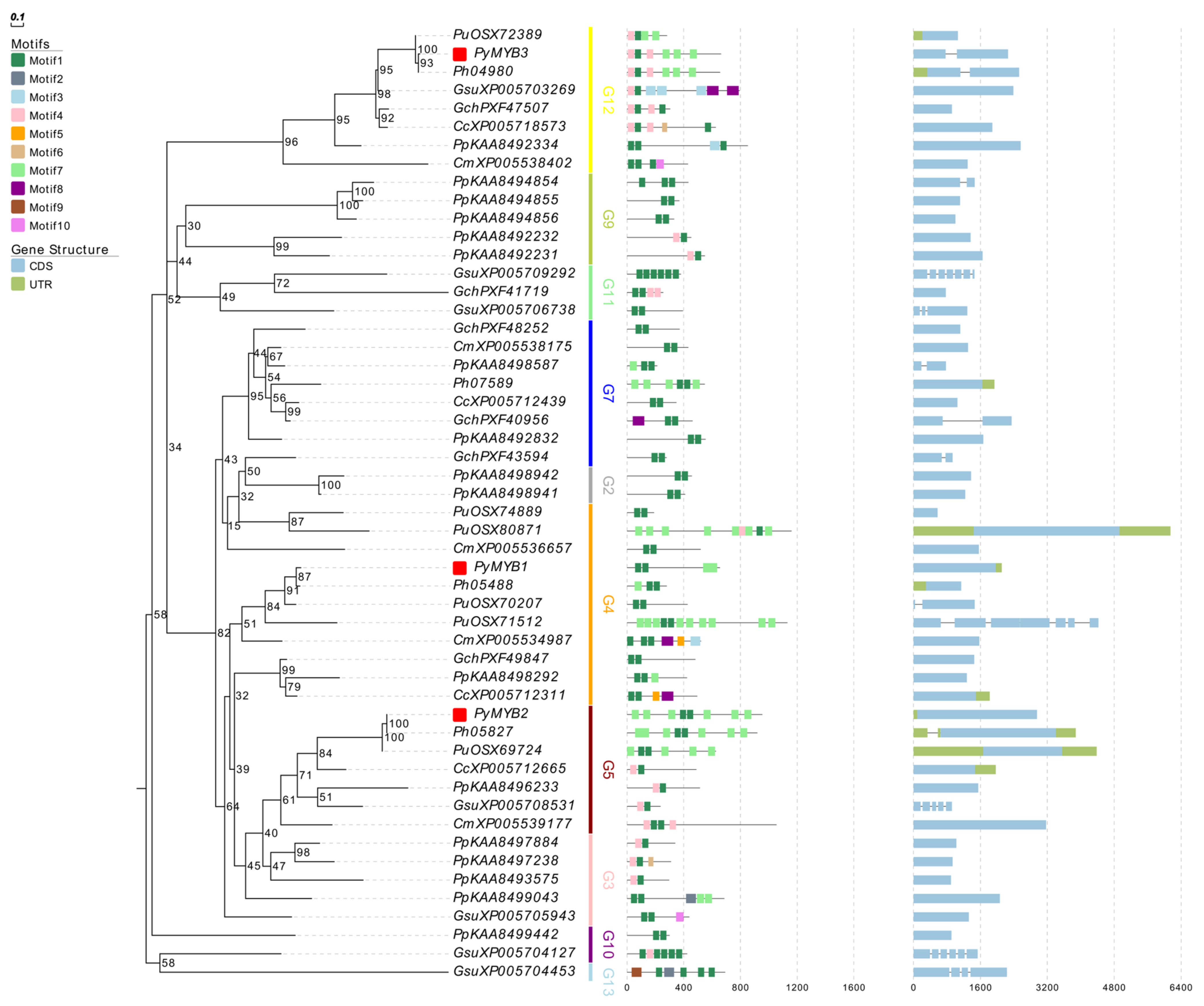 Plants 12 03613 g002