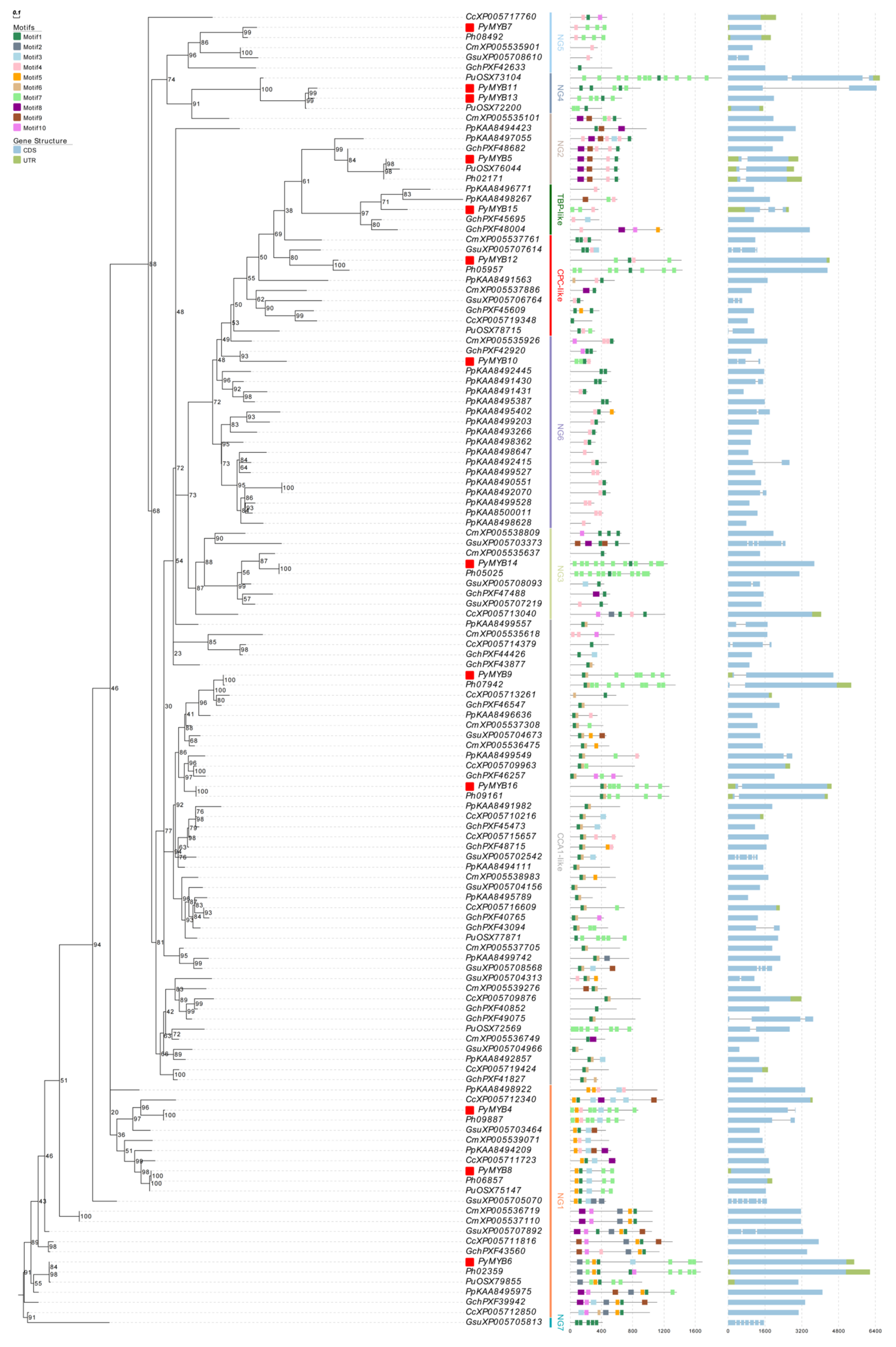 Plants 12 03613 g003