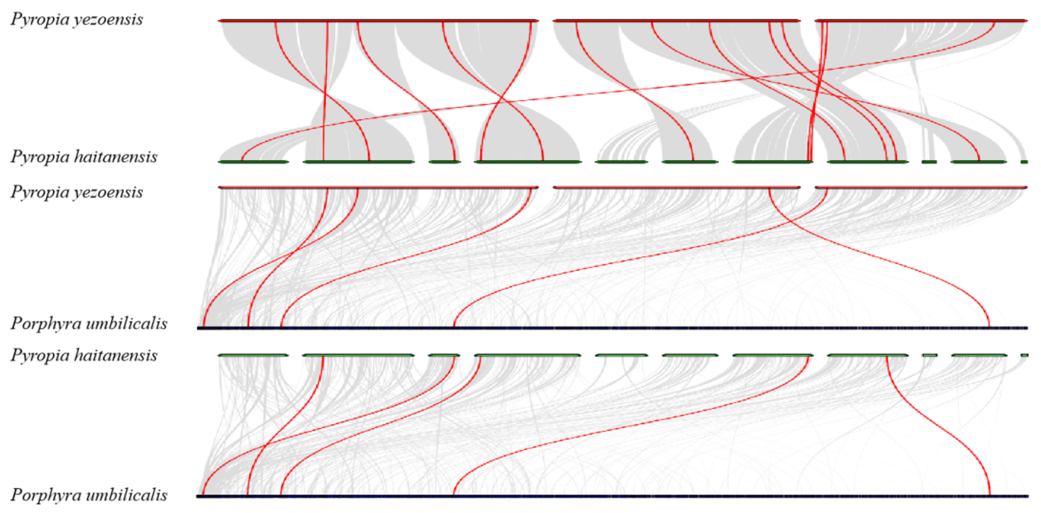 Plants 12 03613 g004