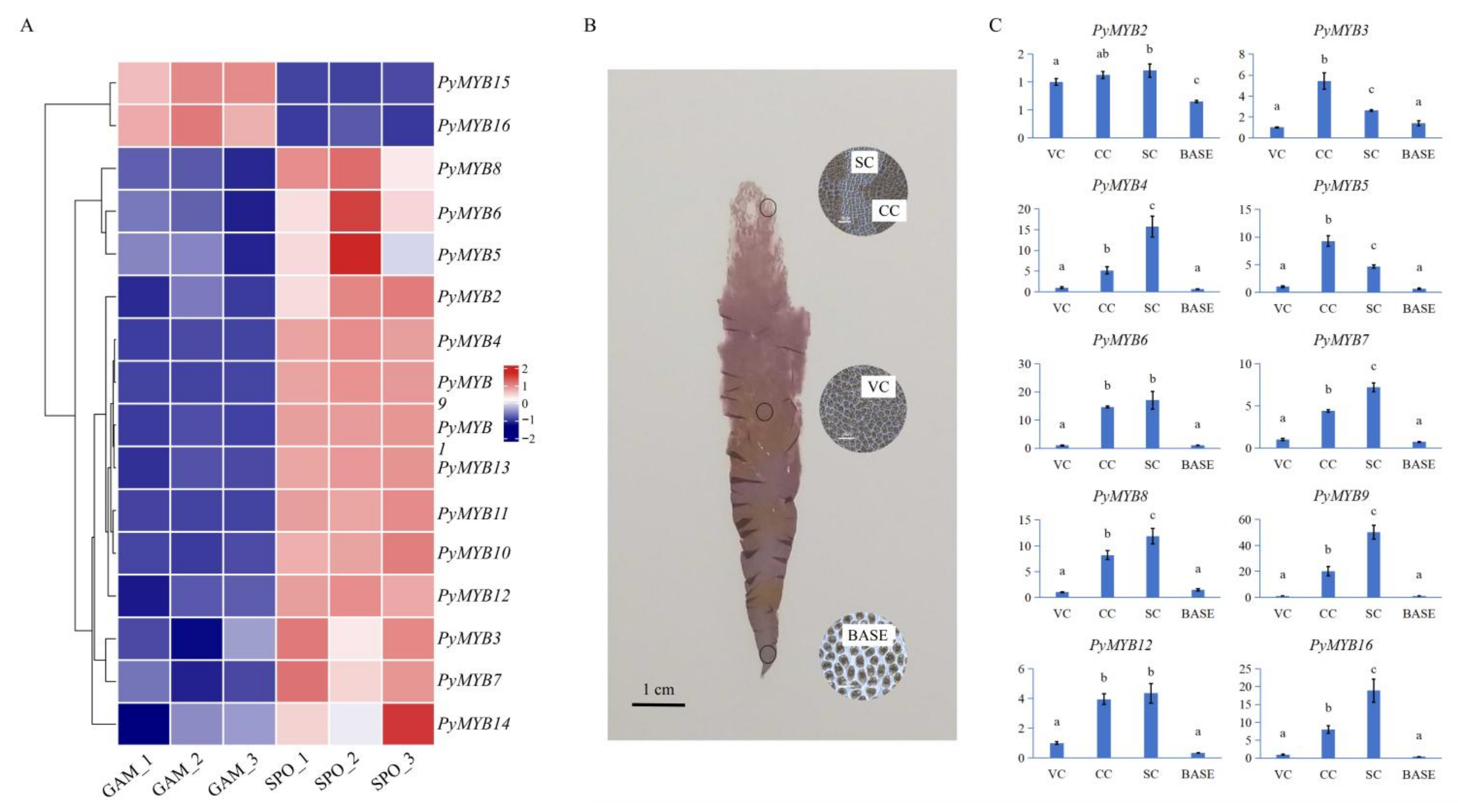 Plants 12 03613 g006