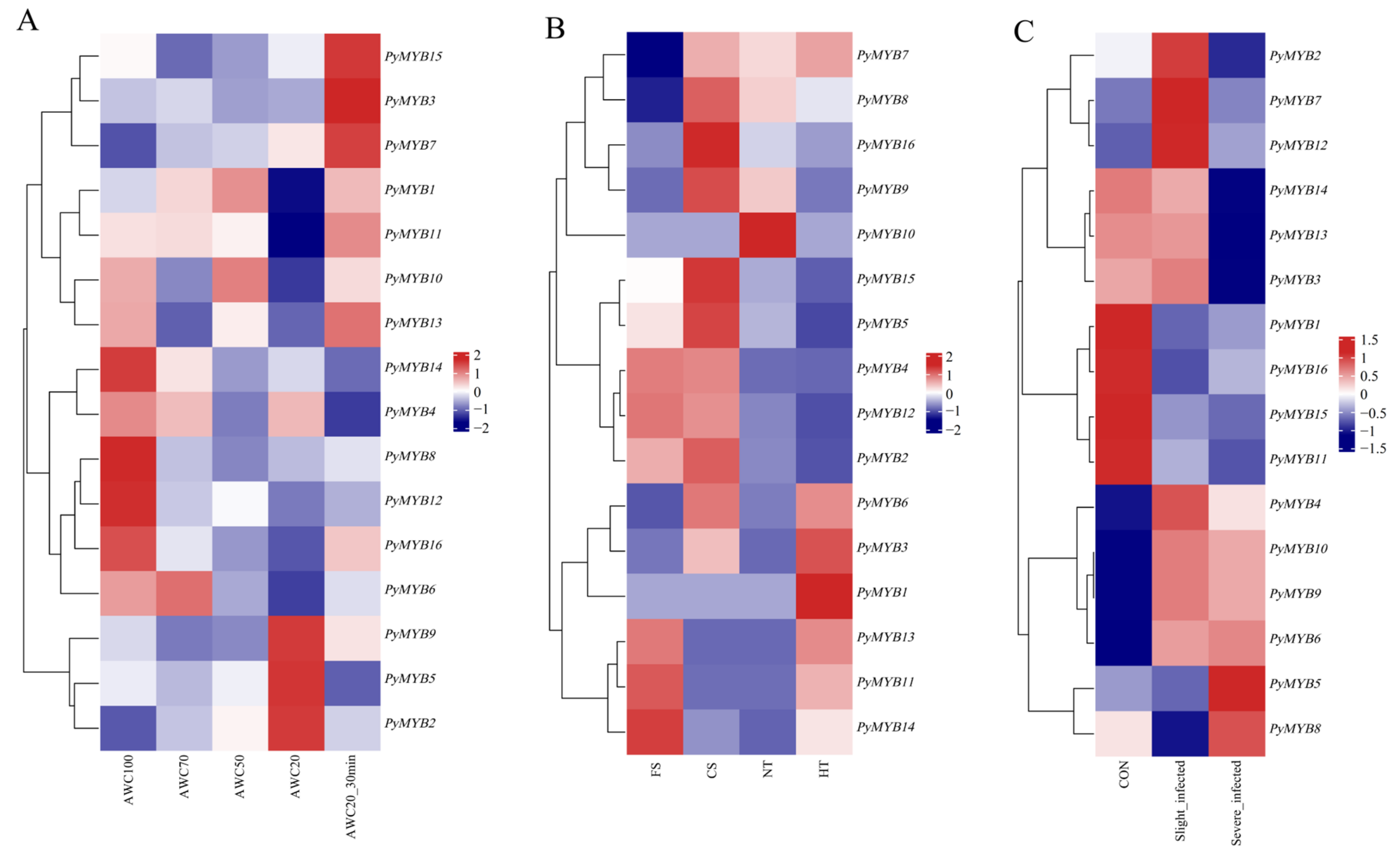 Plants 12 03613 g007