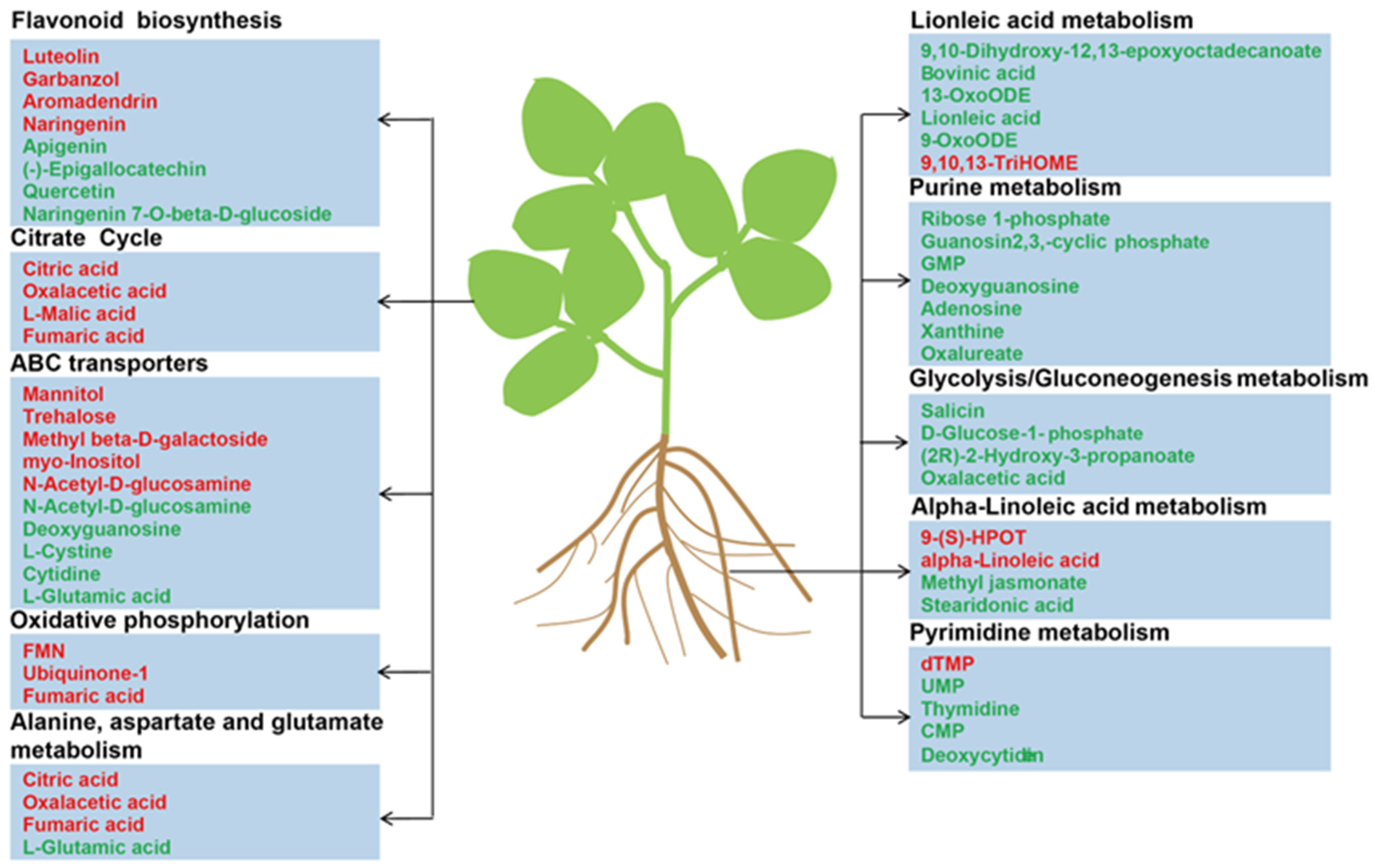 Plants 12 03615 g008