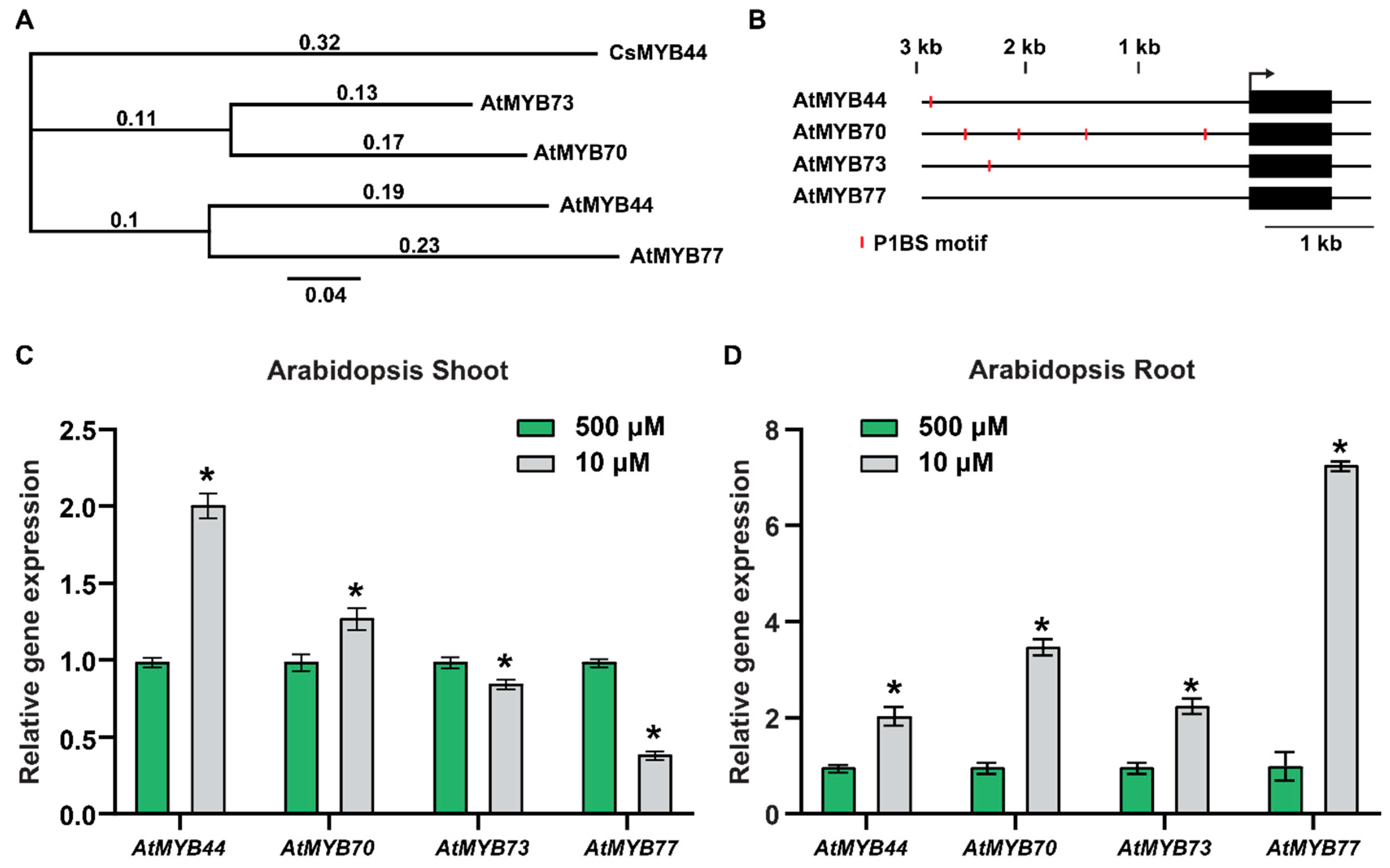 Plants 12 03617 g001