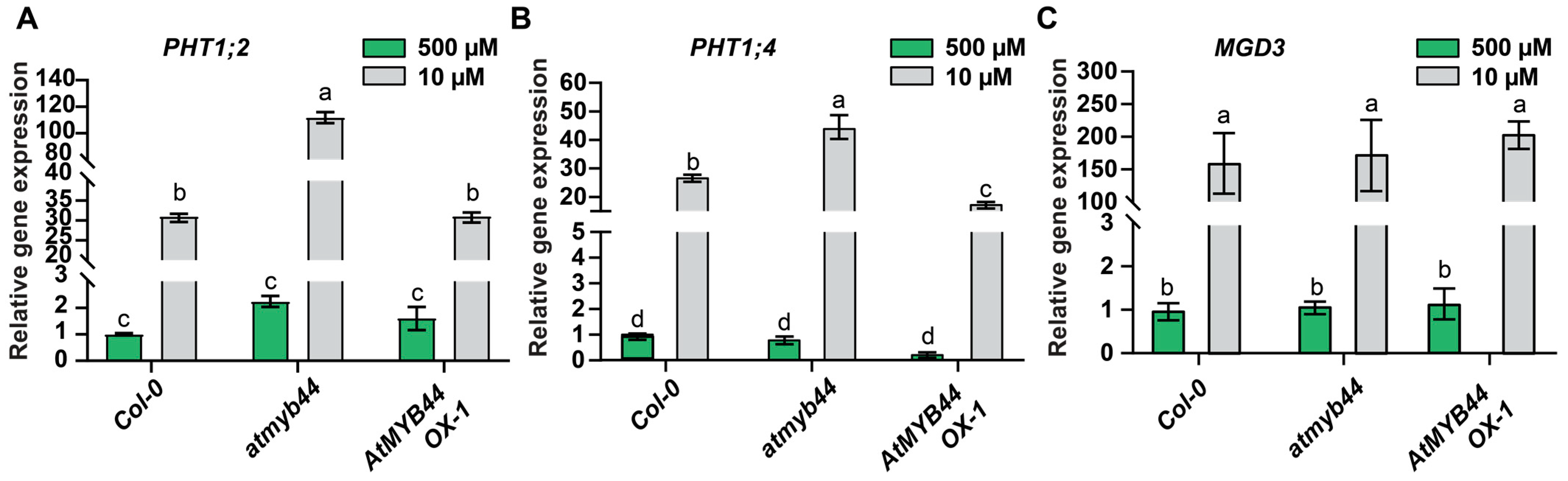 Plants 12 03617 g005