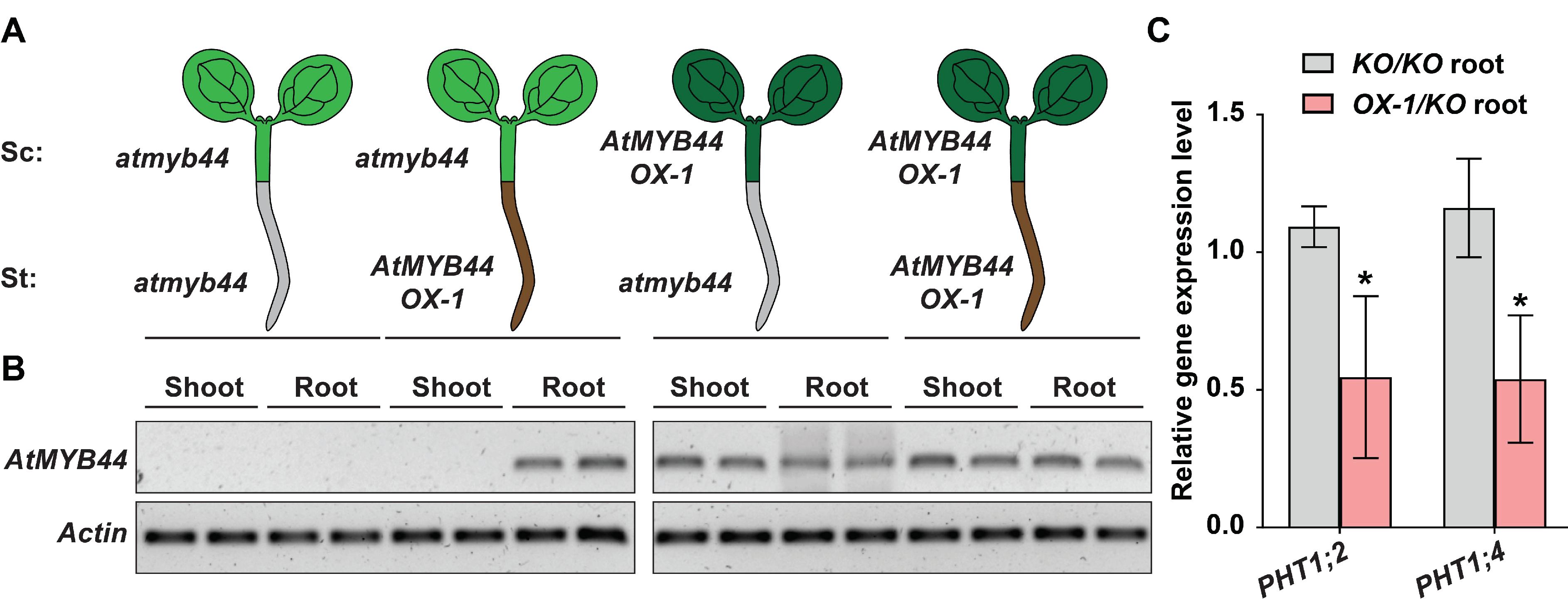 Plants 12 03617 g007