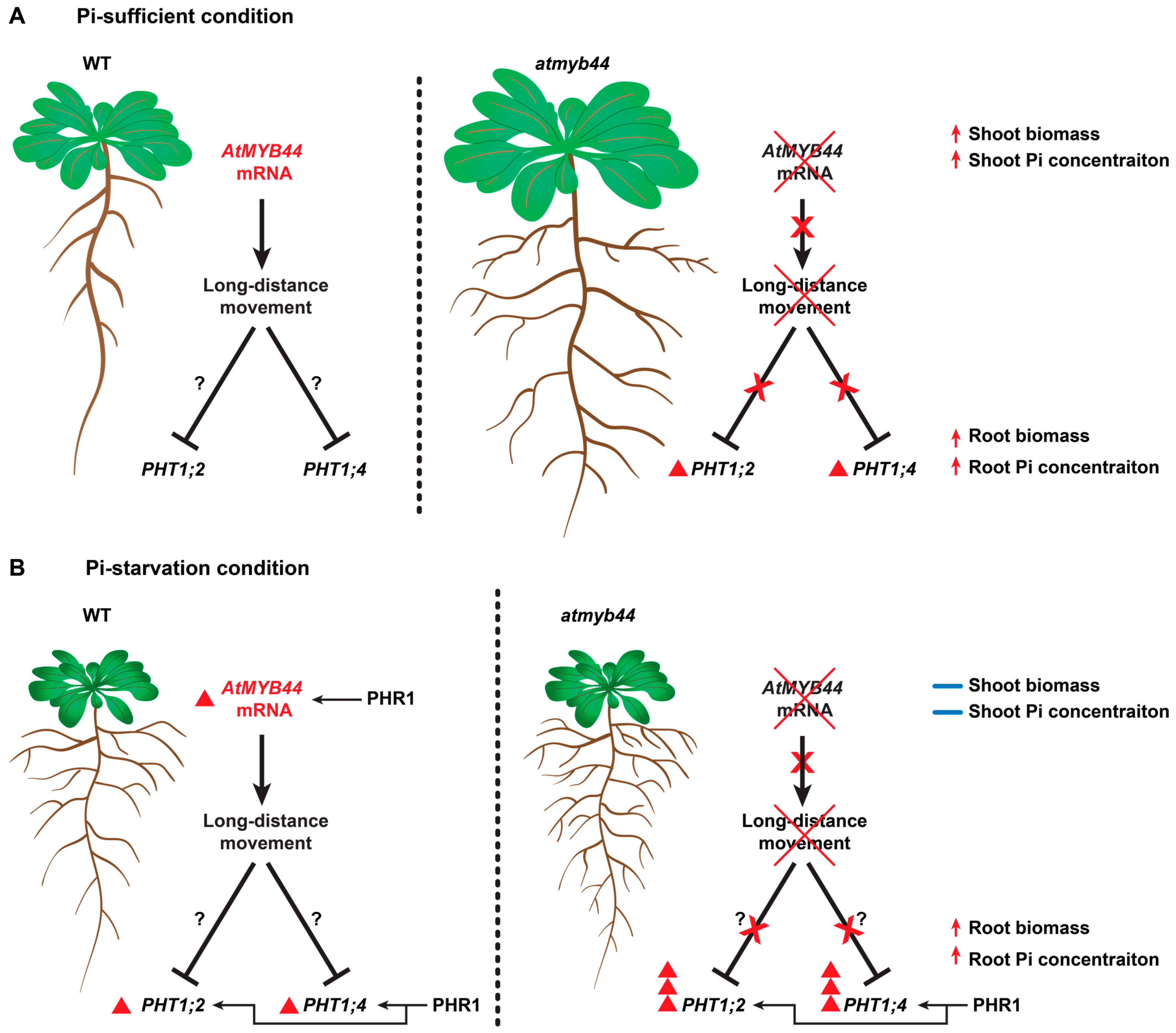 Plants 12 03617 g008