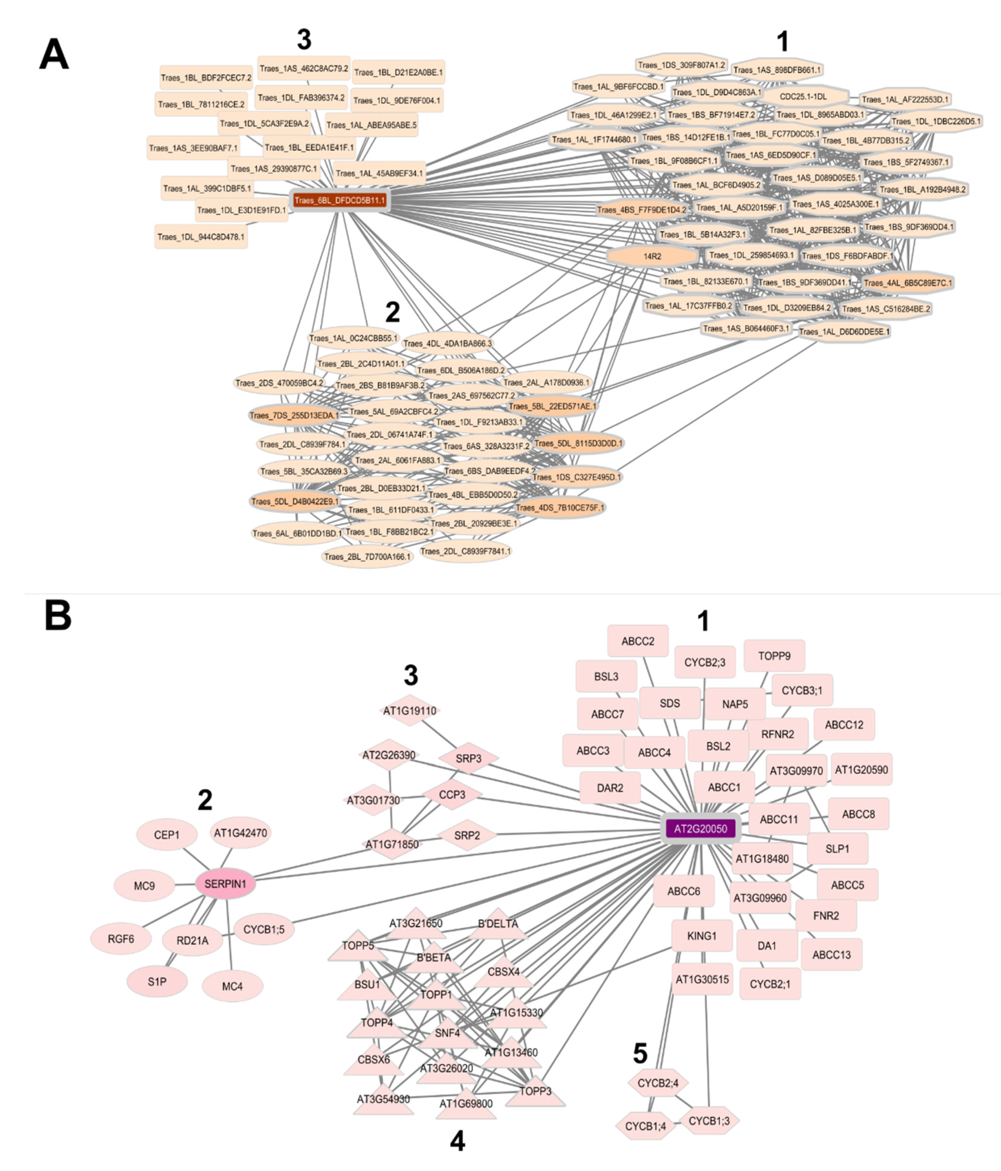 Plants 12 03619 g003