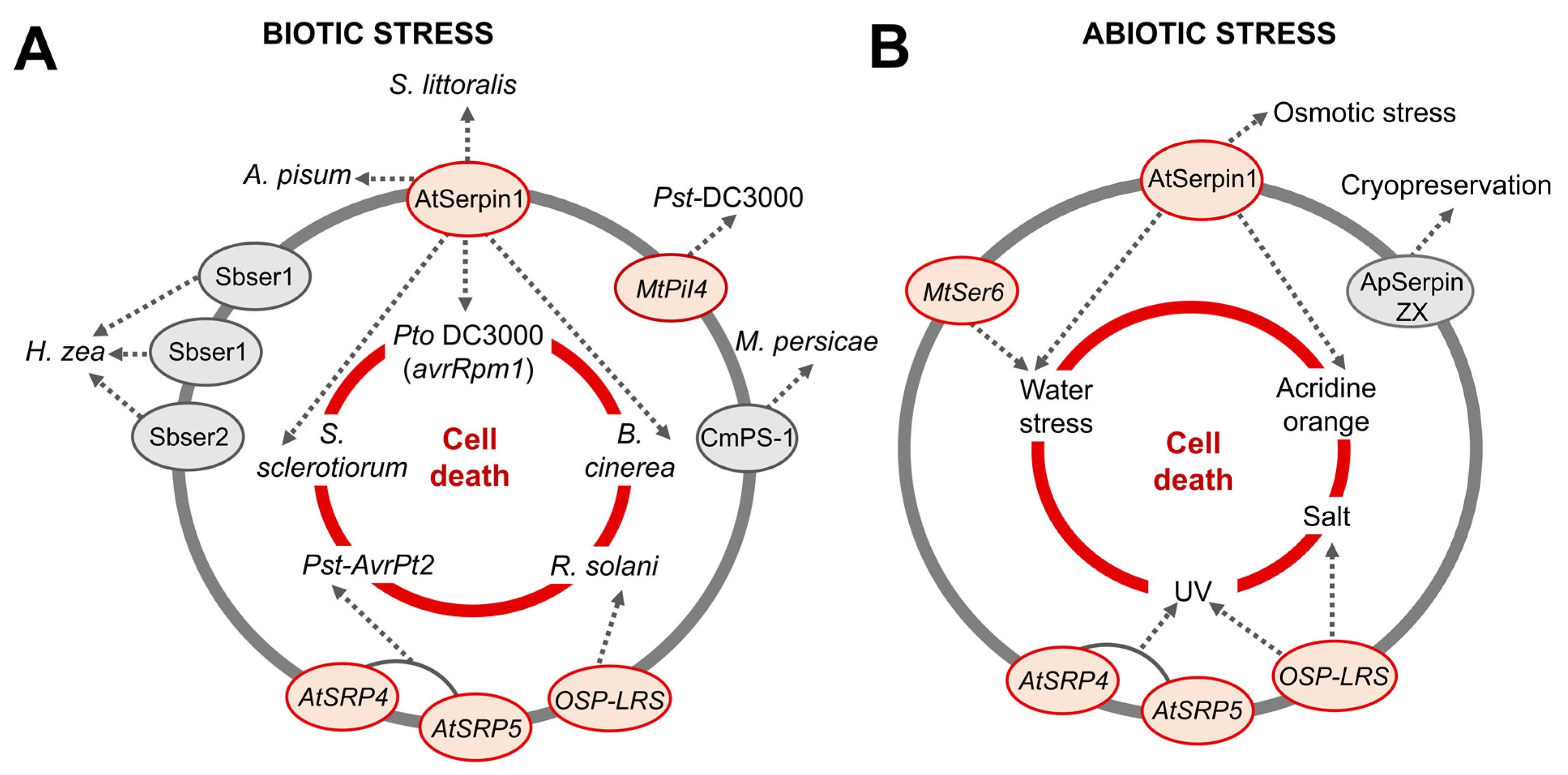 Plants 12 03619 g007