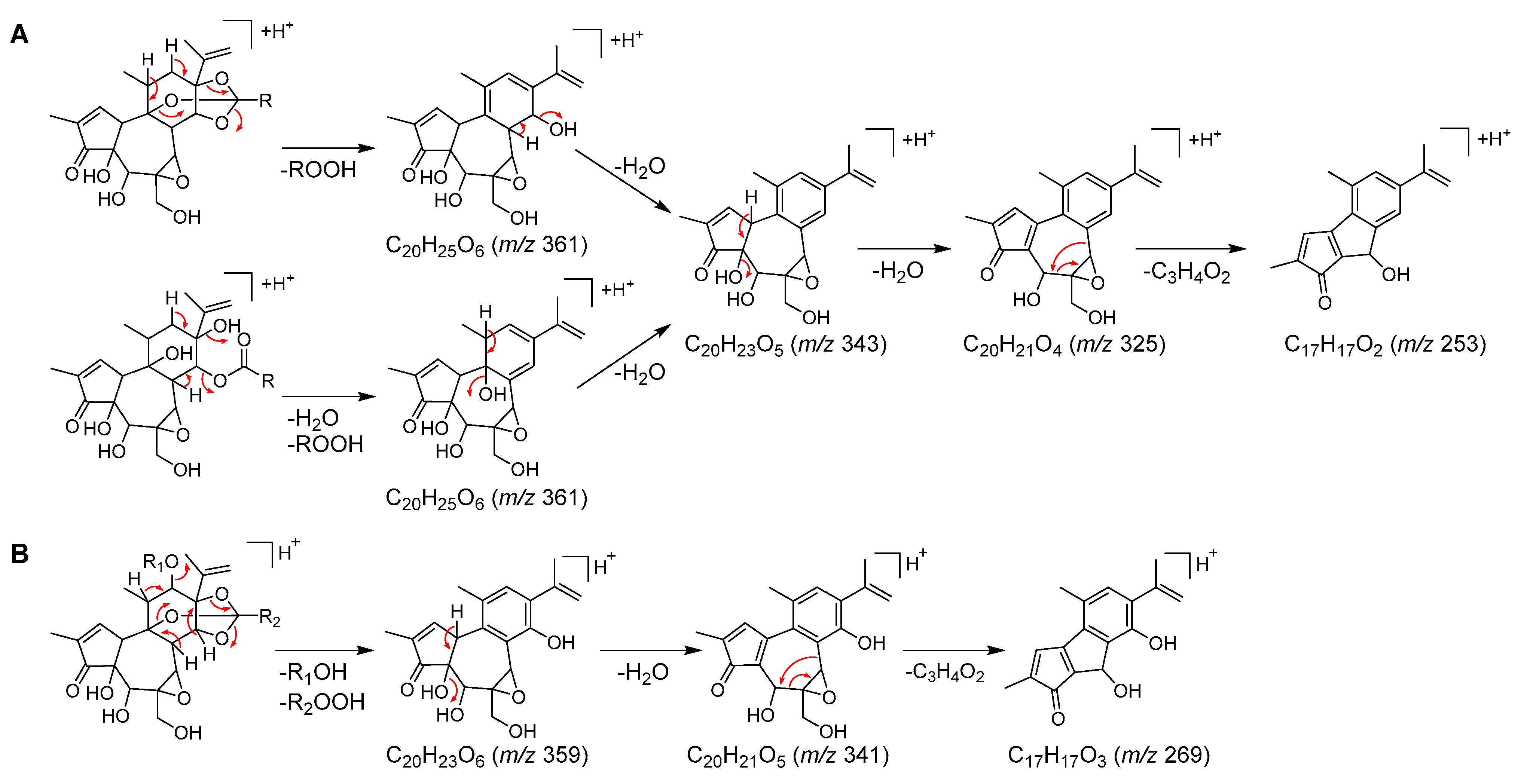 Plants 12 03620 g003 Plants 12 03620 g003