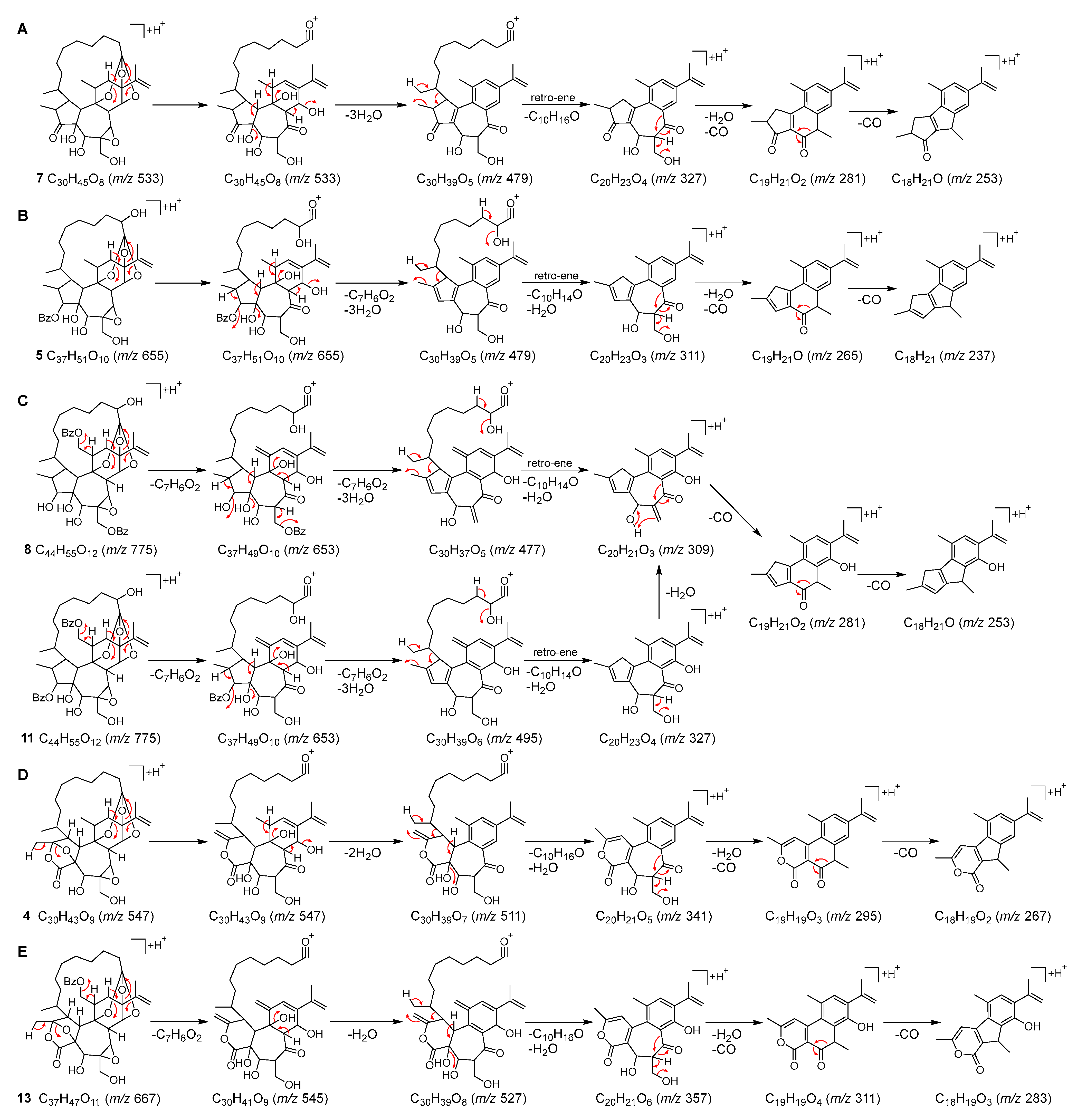 Plants 12 03620 g004 Plants 12 03620 g004