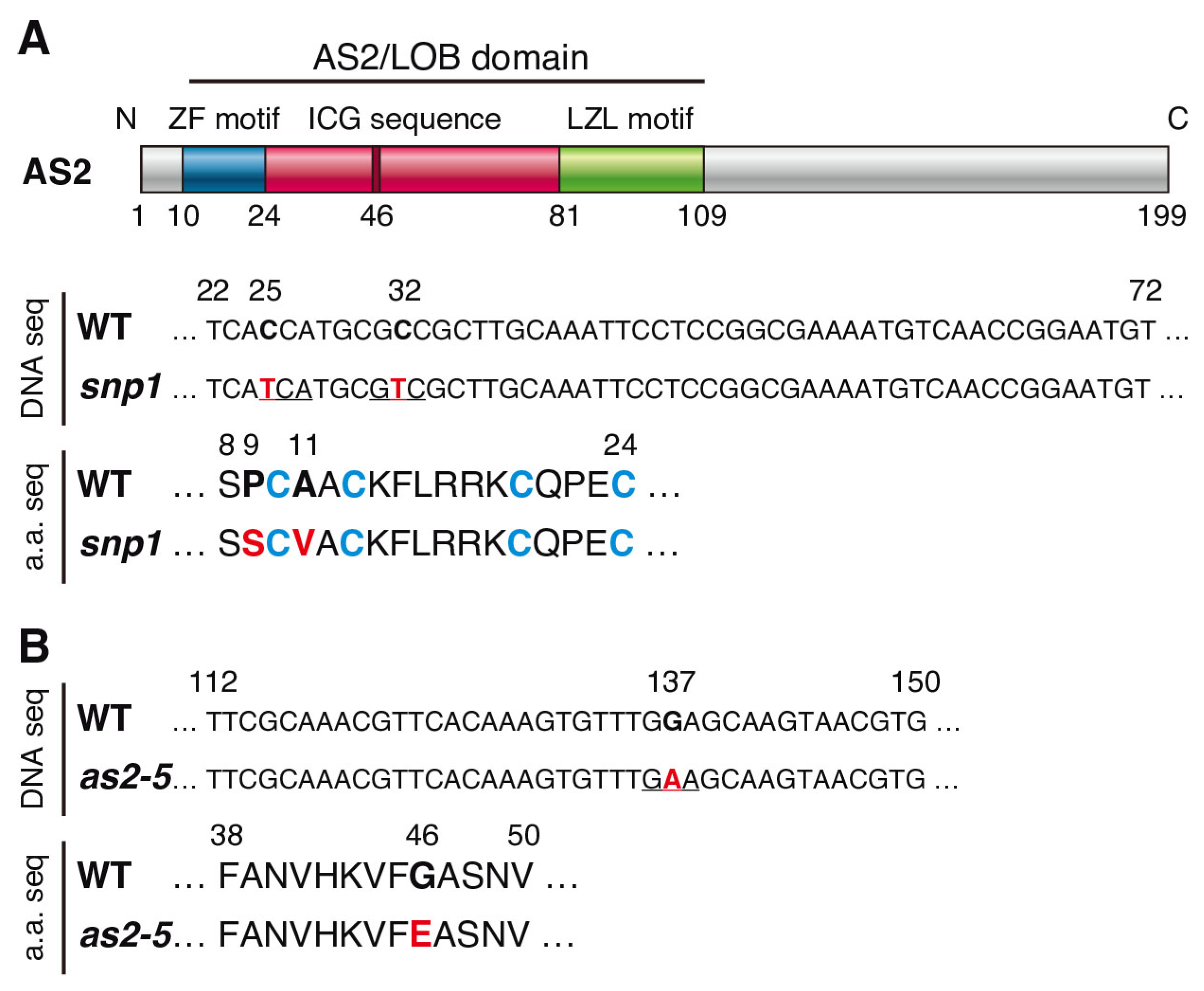 Plants 12 03621 g001