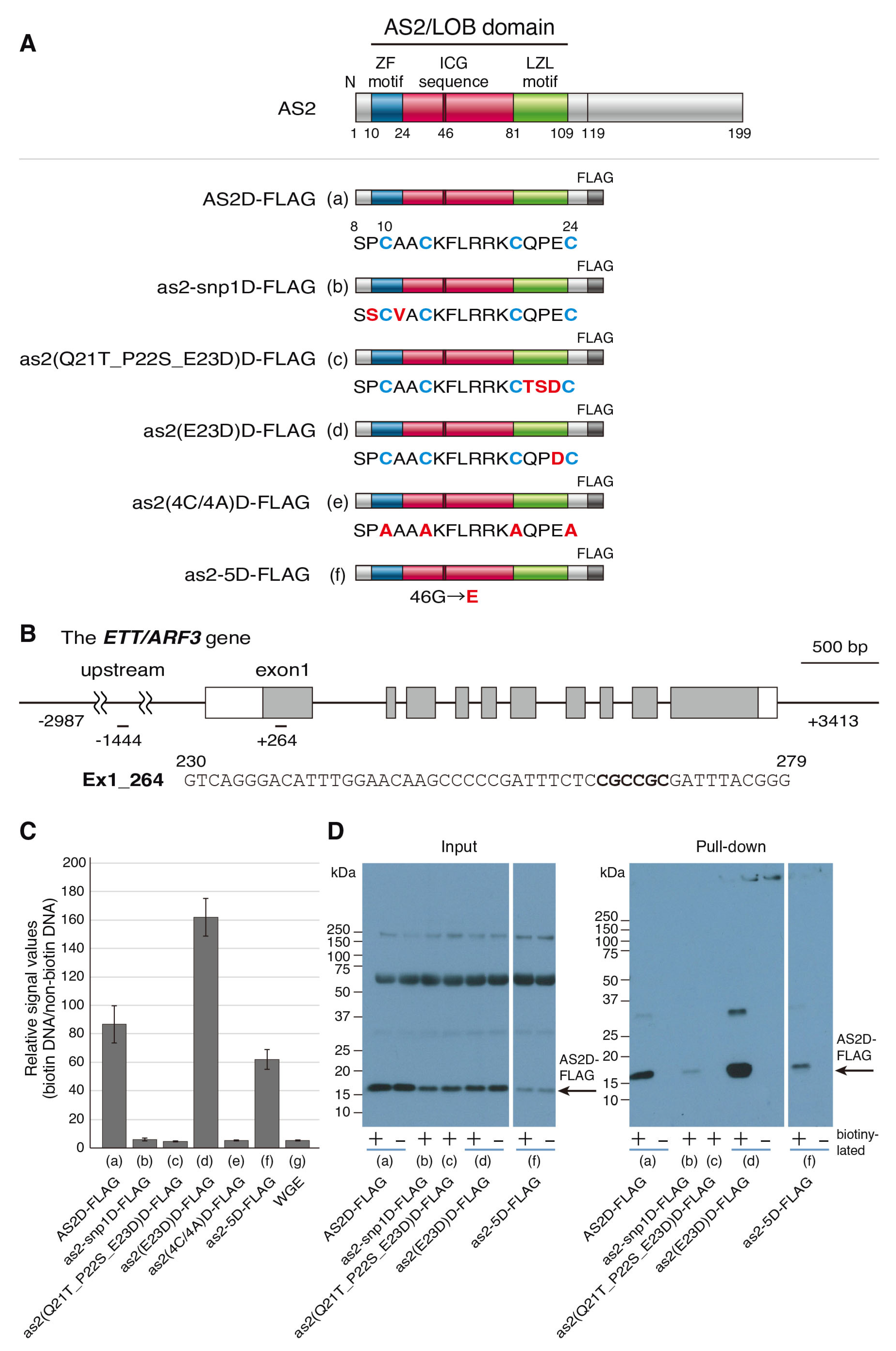 Plants 12 03621 g003