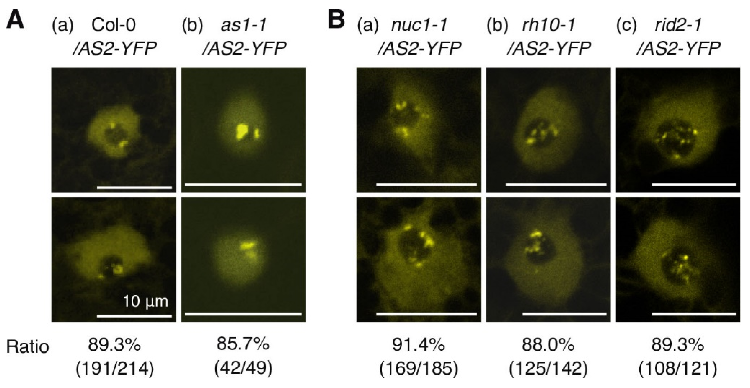 Plants 12 03621 g004