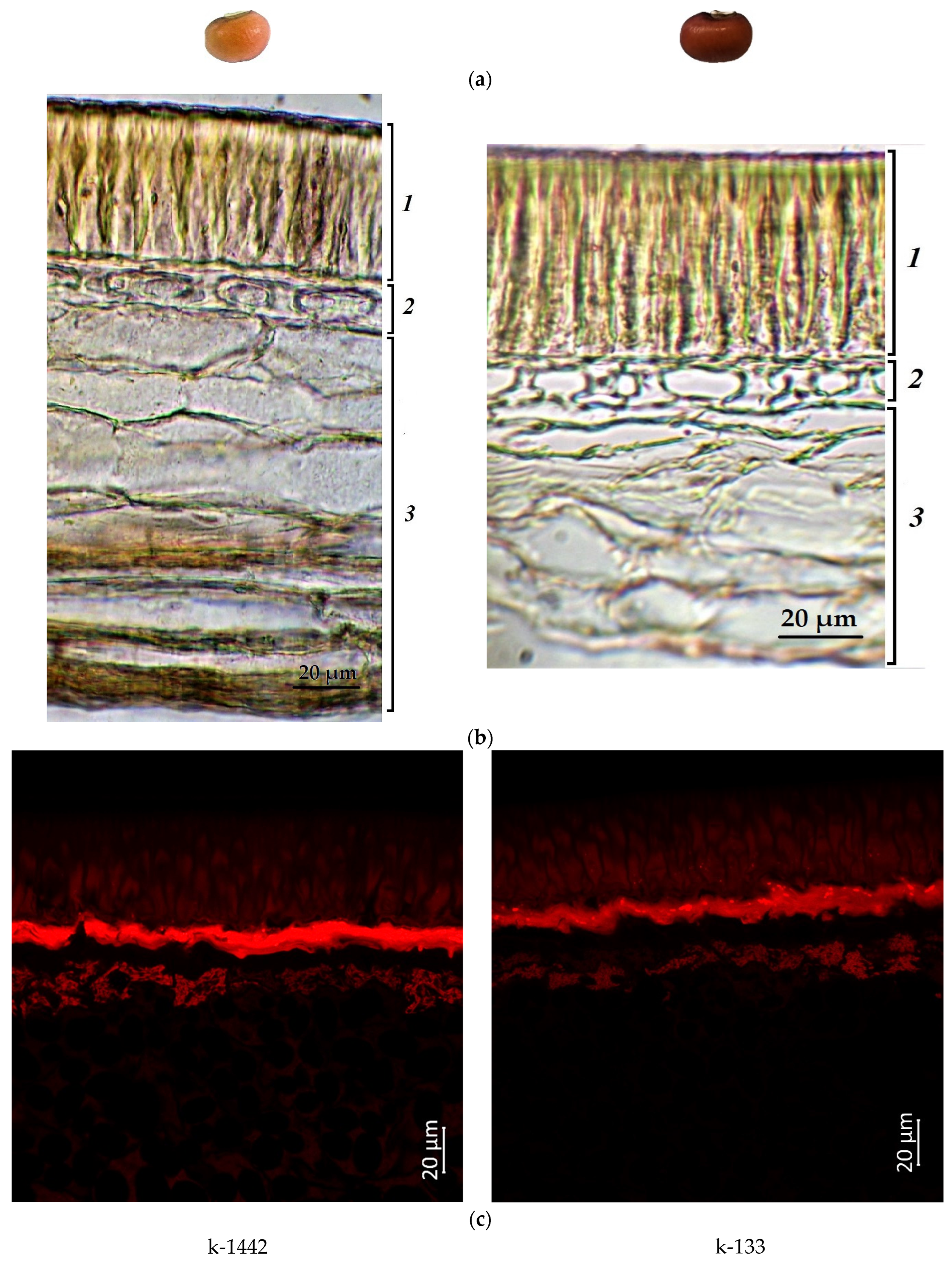 Plants 12 03624 g002