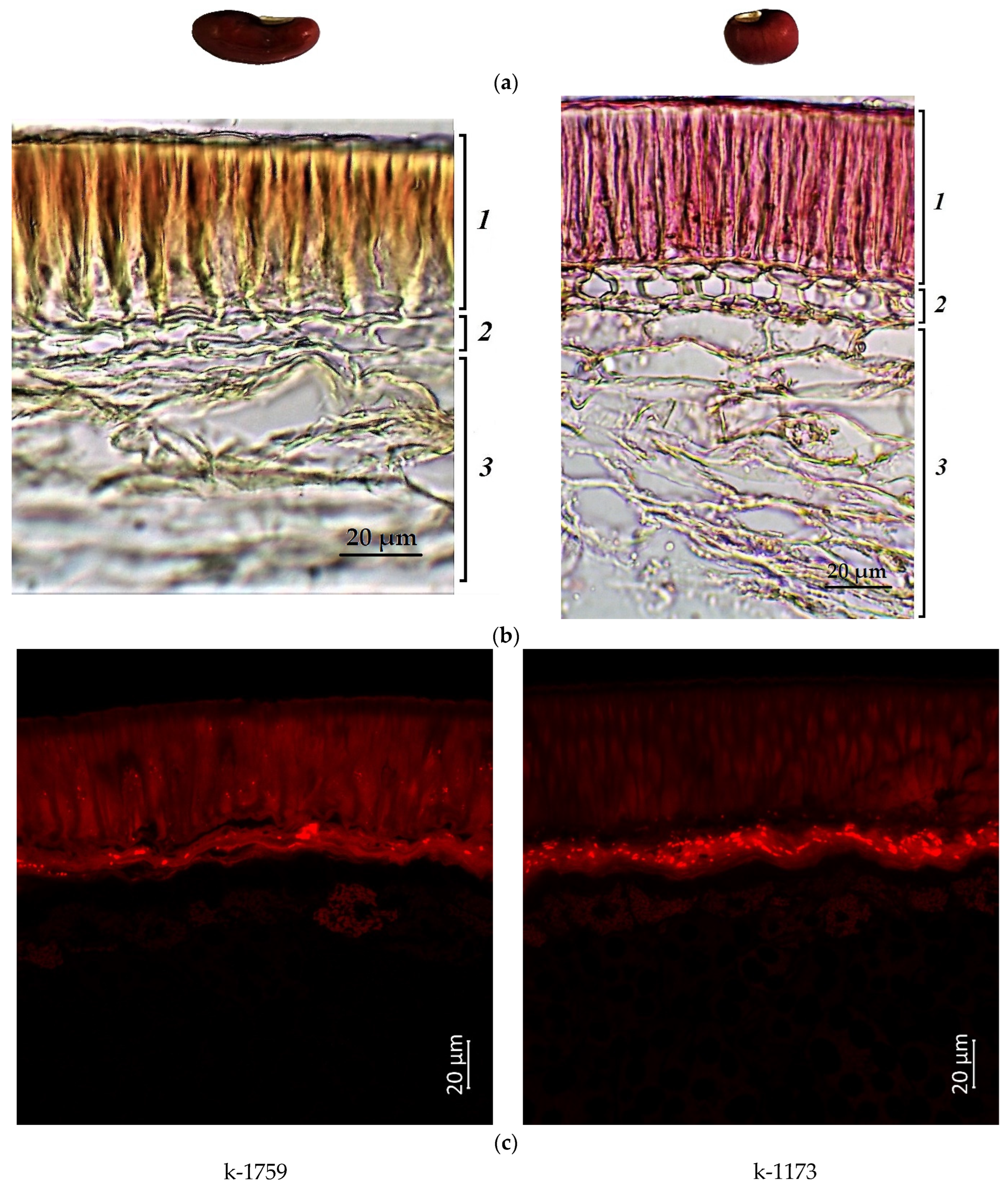 Plants 12 03624 g003
