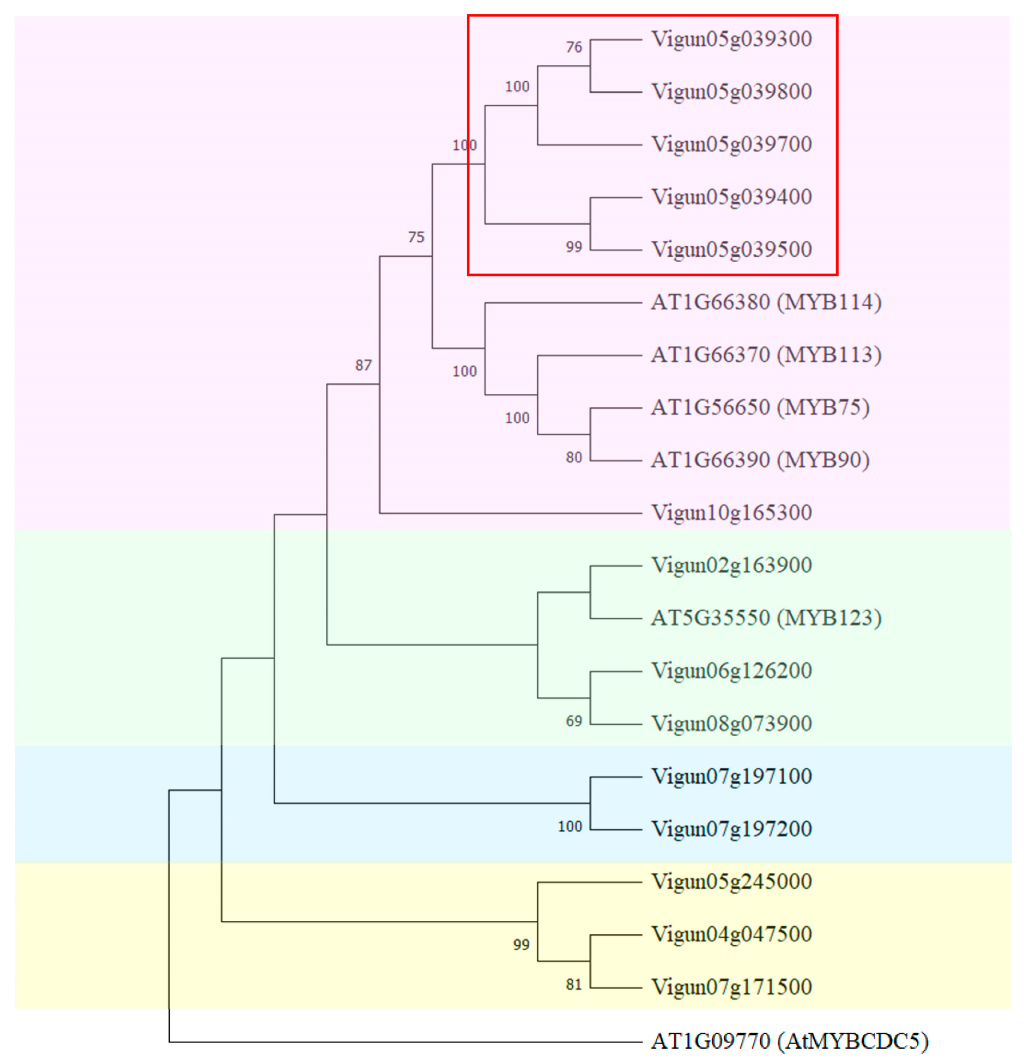 Plants 12 03624 g005