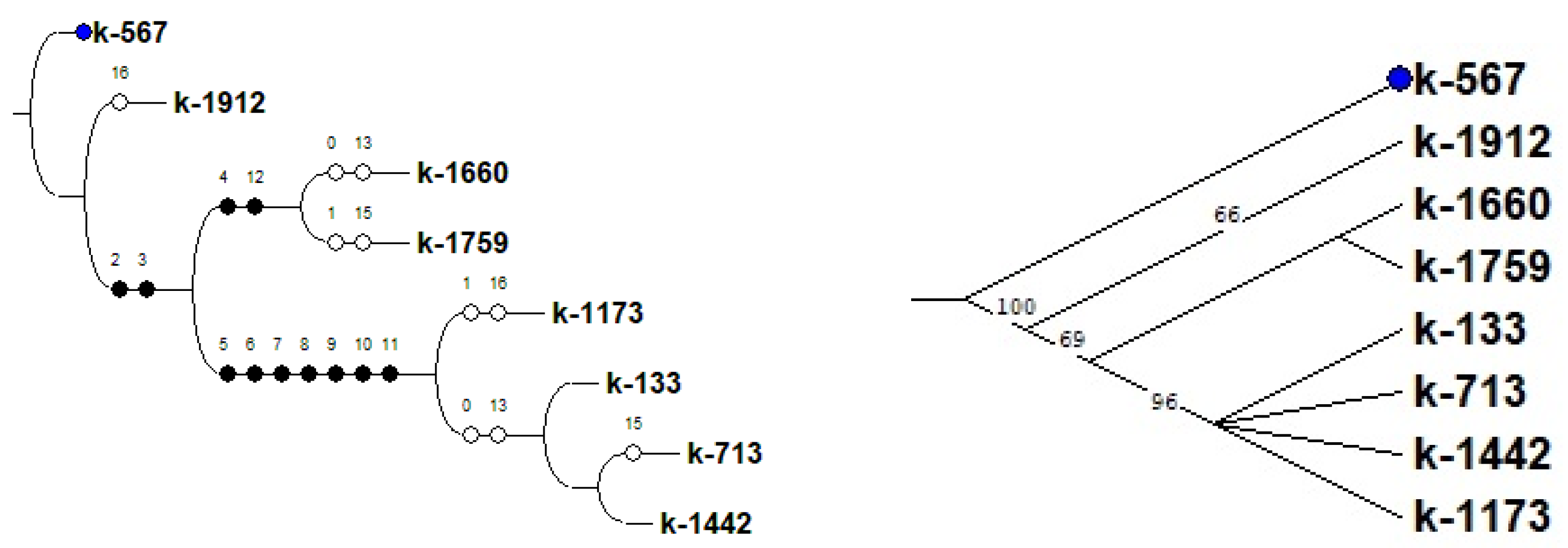 Plants 12 03624 g009