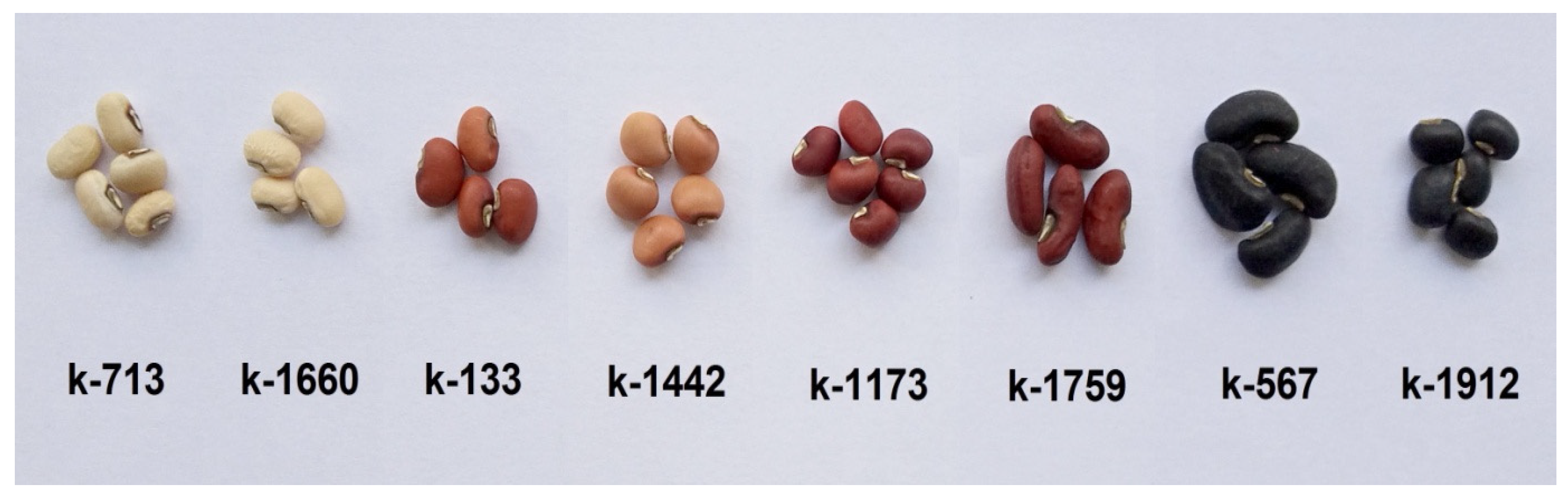 Plants 12 03624 g010