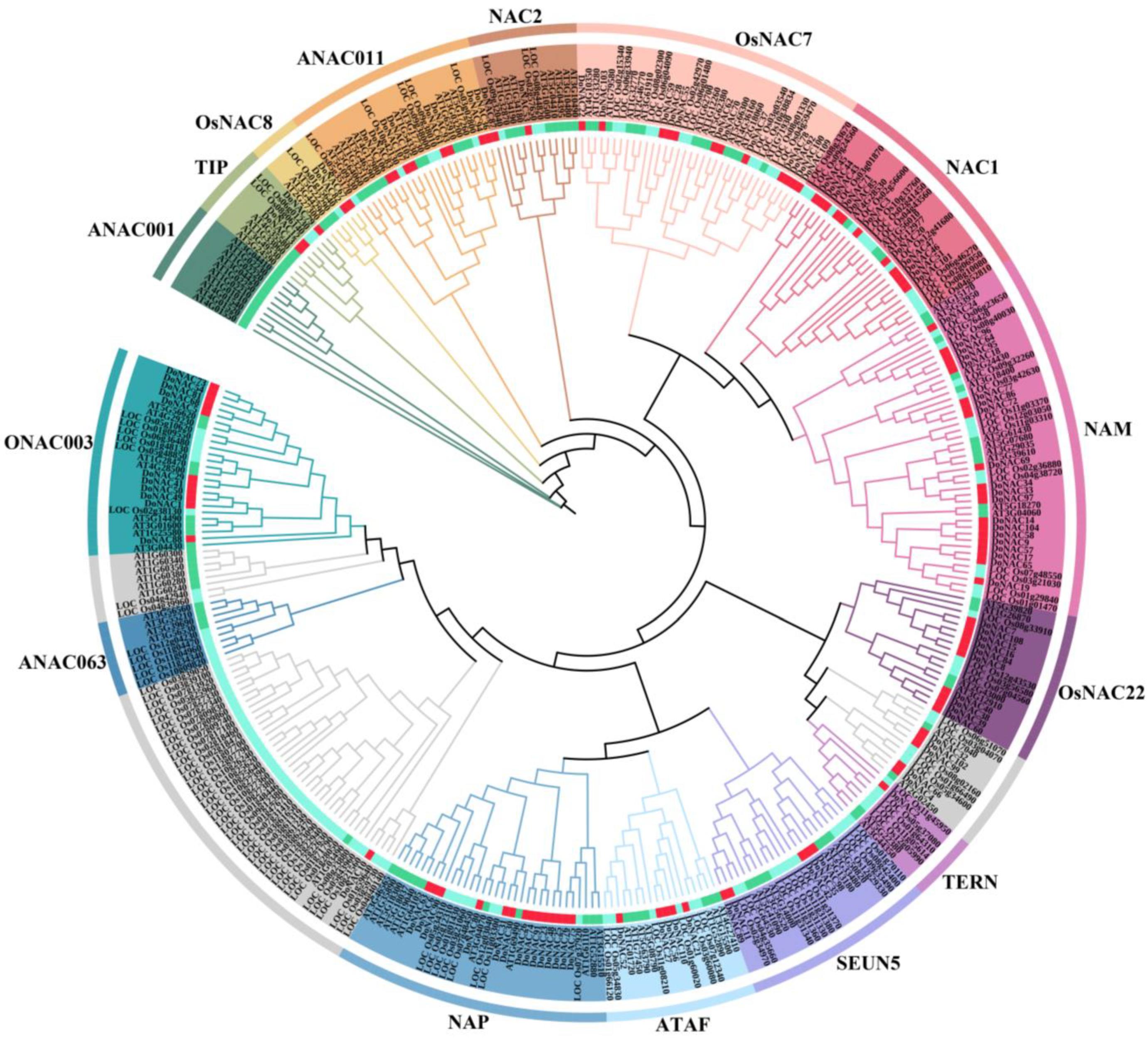 Plants 12 03626 g001