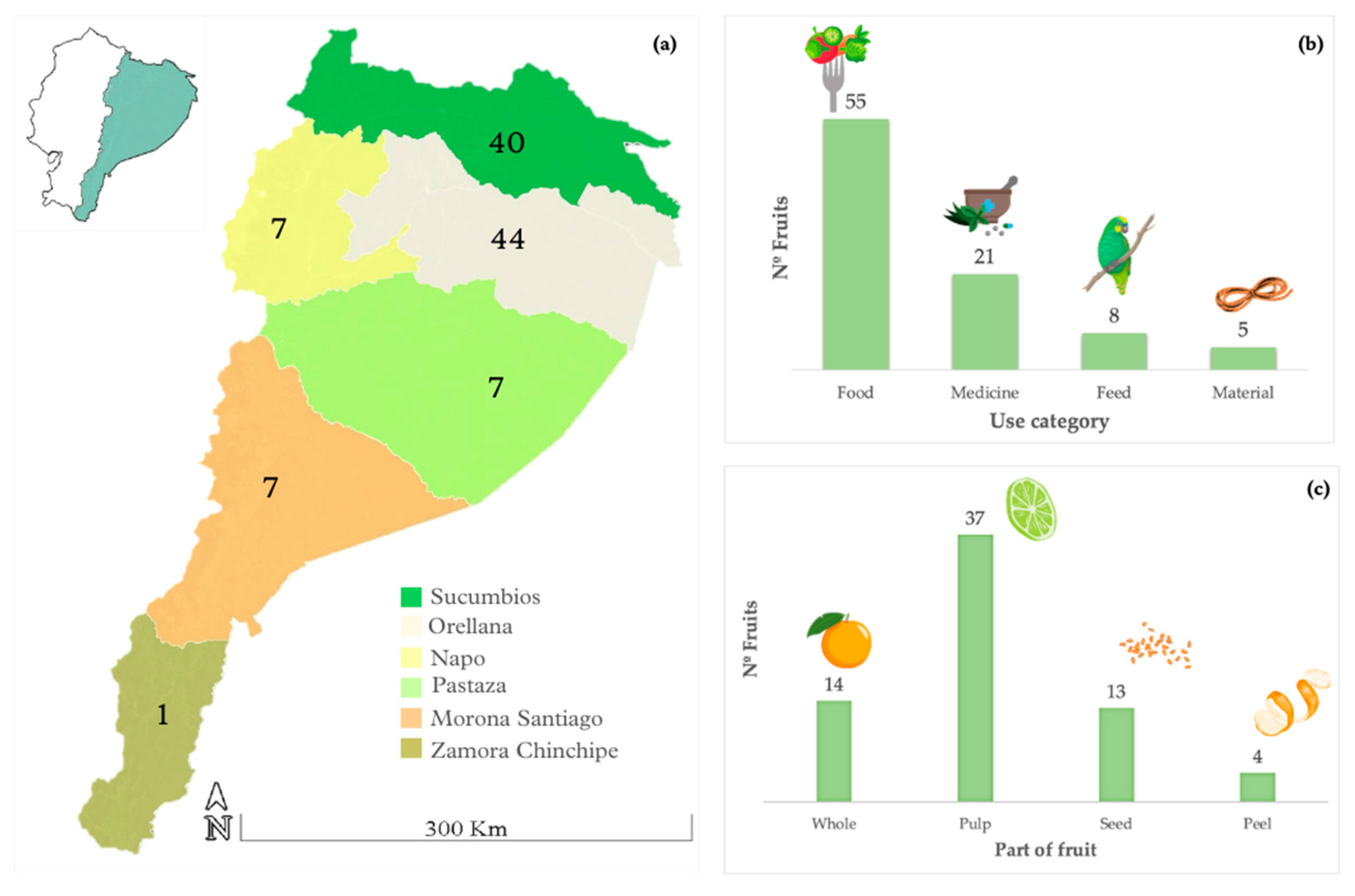 Plants 12 03635 g001