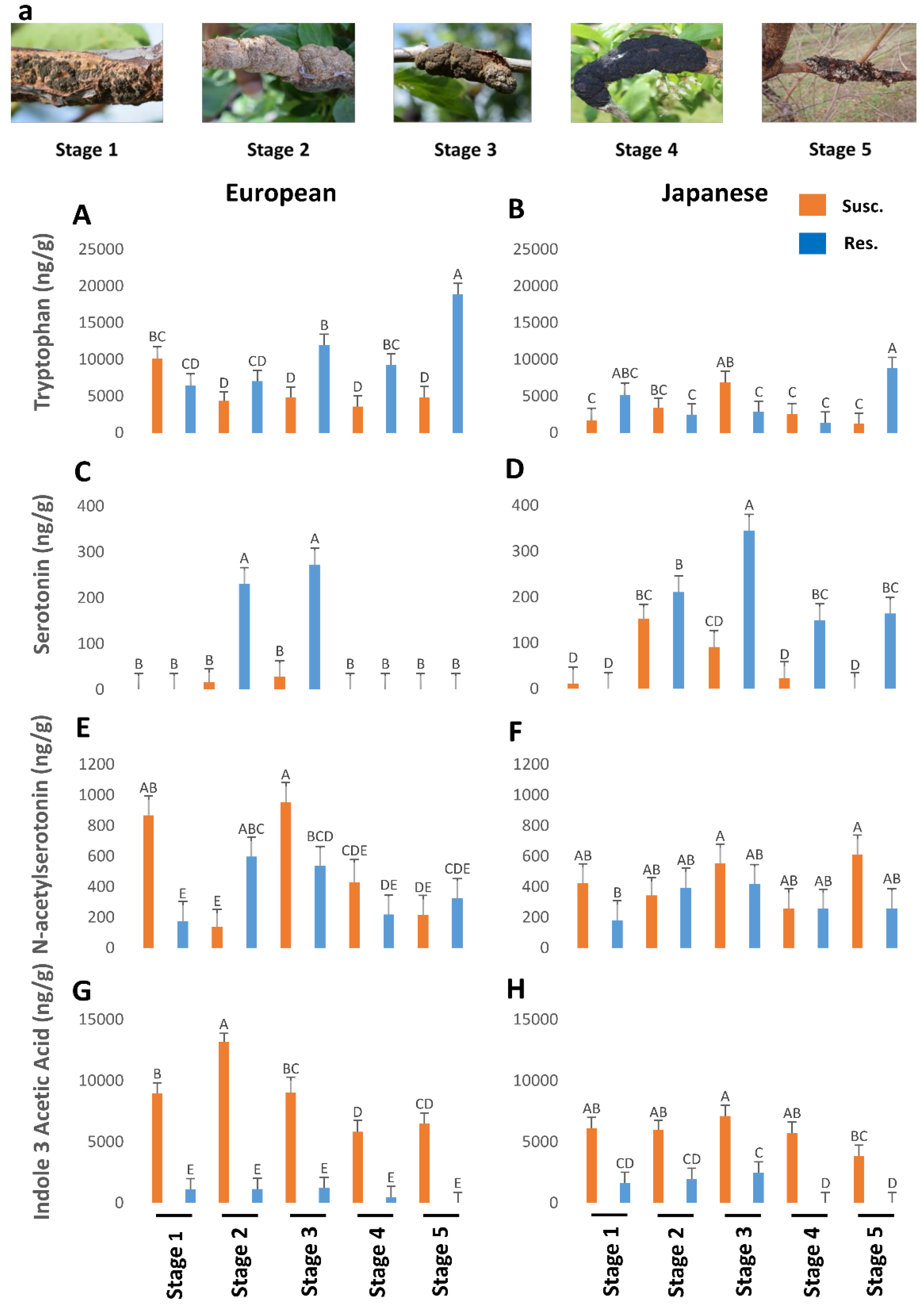 Plants 12 03638 g001