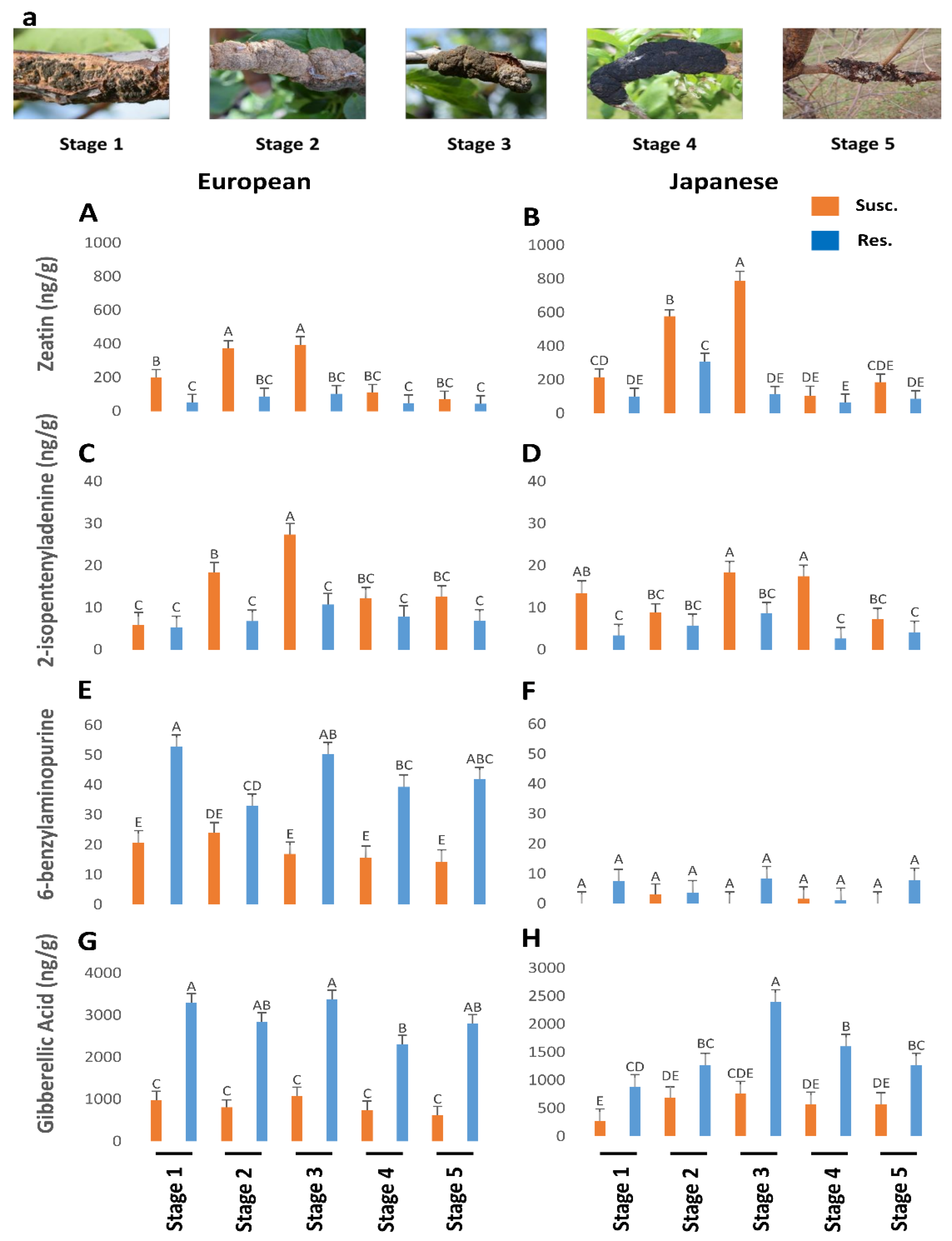 Plants 12 03638 g002