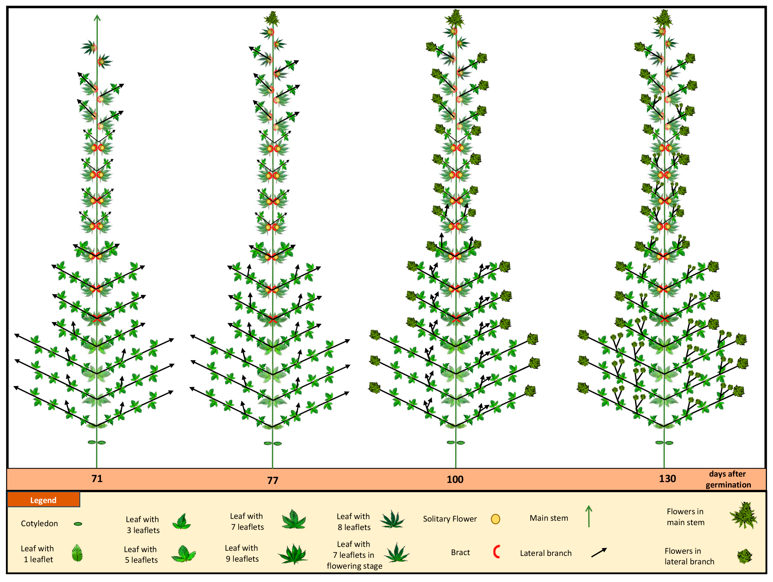 Plants 12 03646 g008