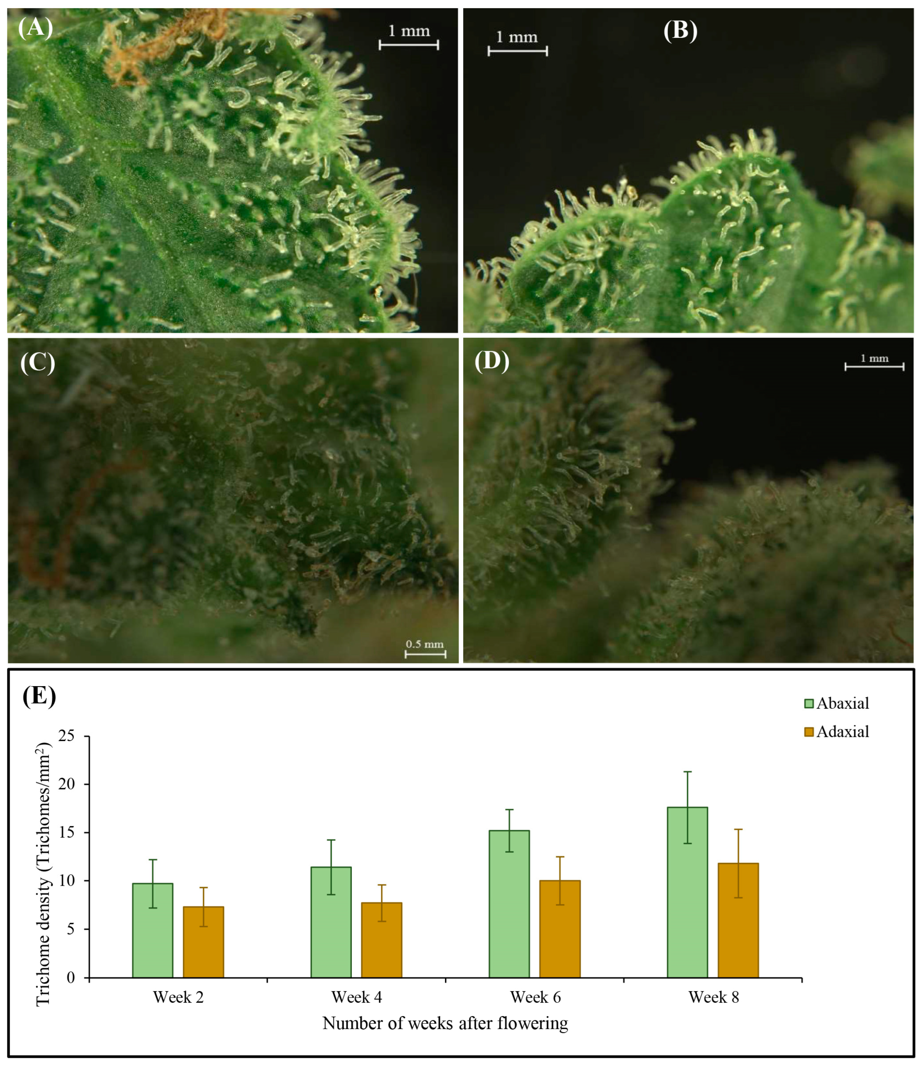Plants 12 03646 g011