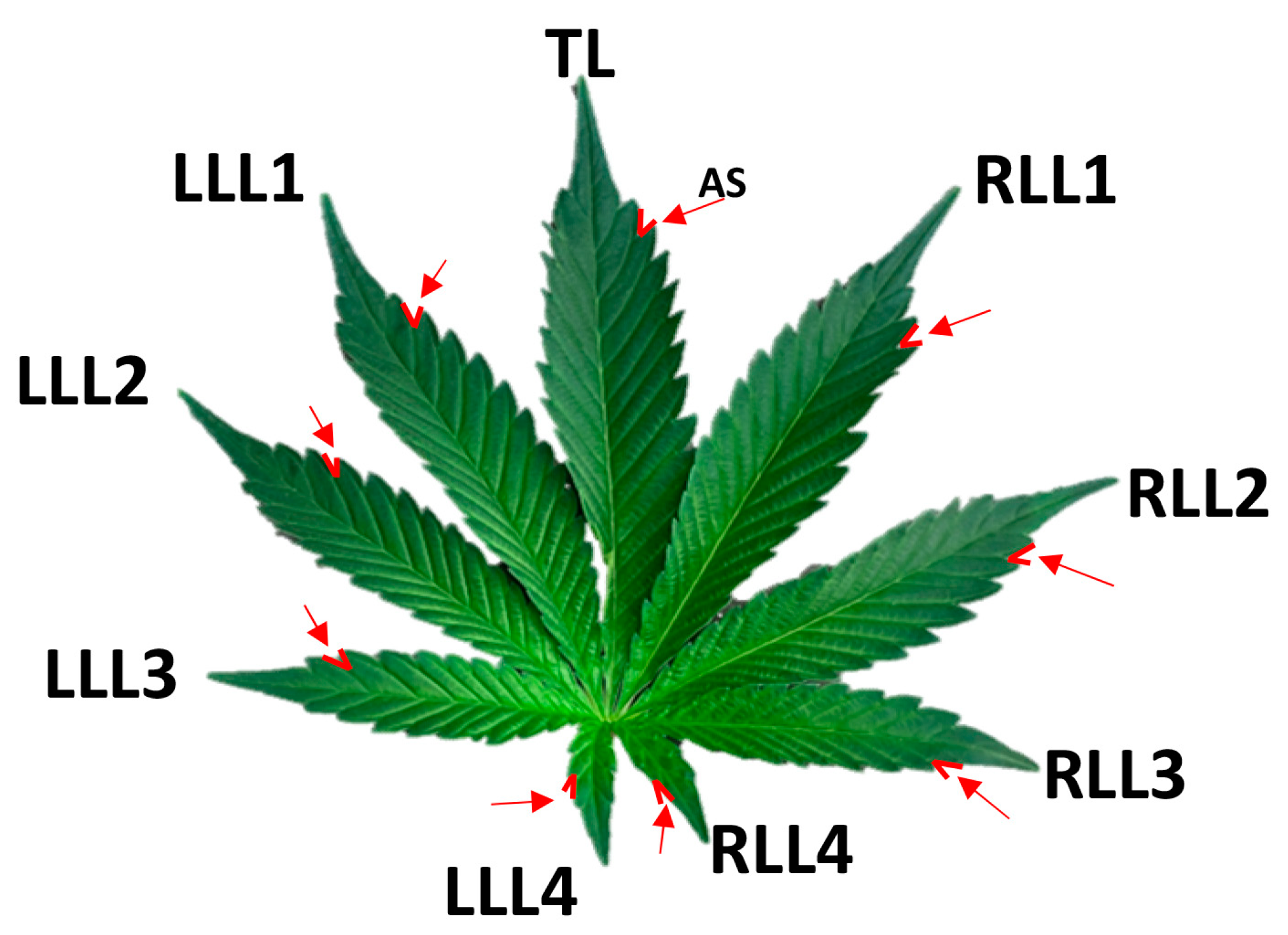 Plants 12 03646 g014