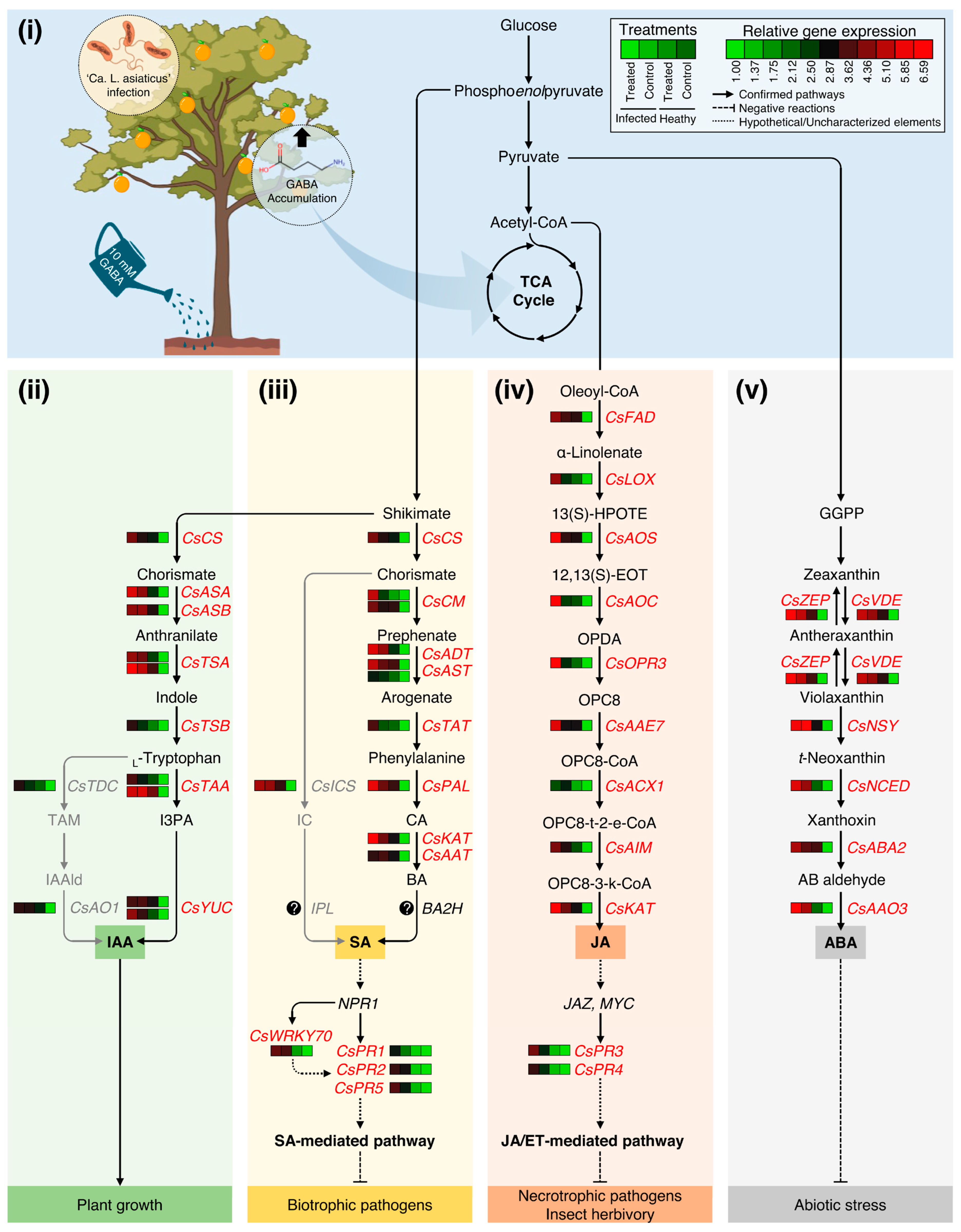 Plants 12 03647 g008