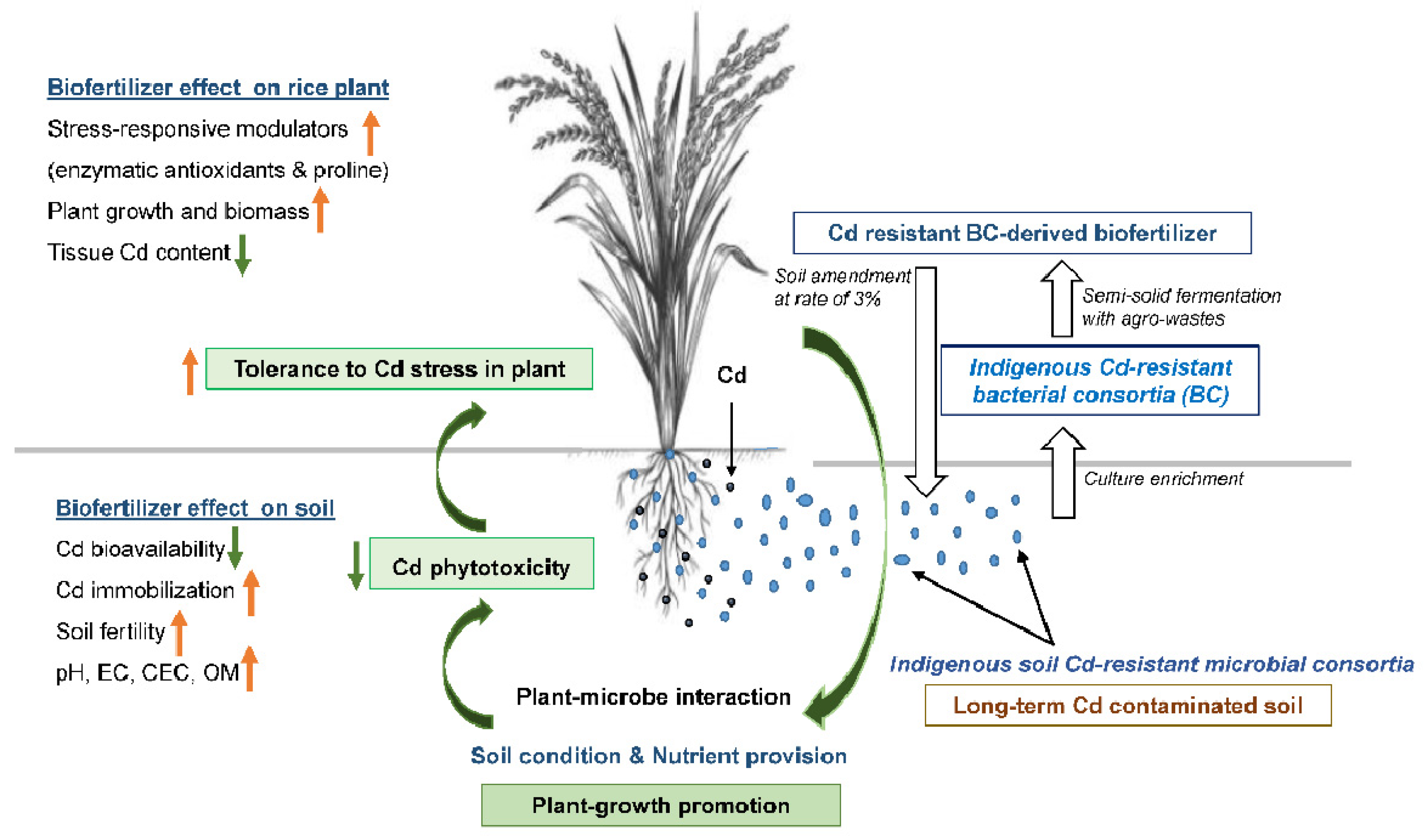 Plants 12 03651 g002