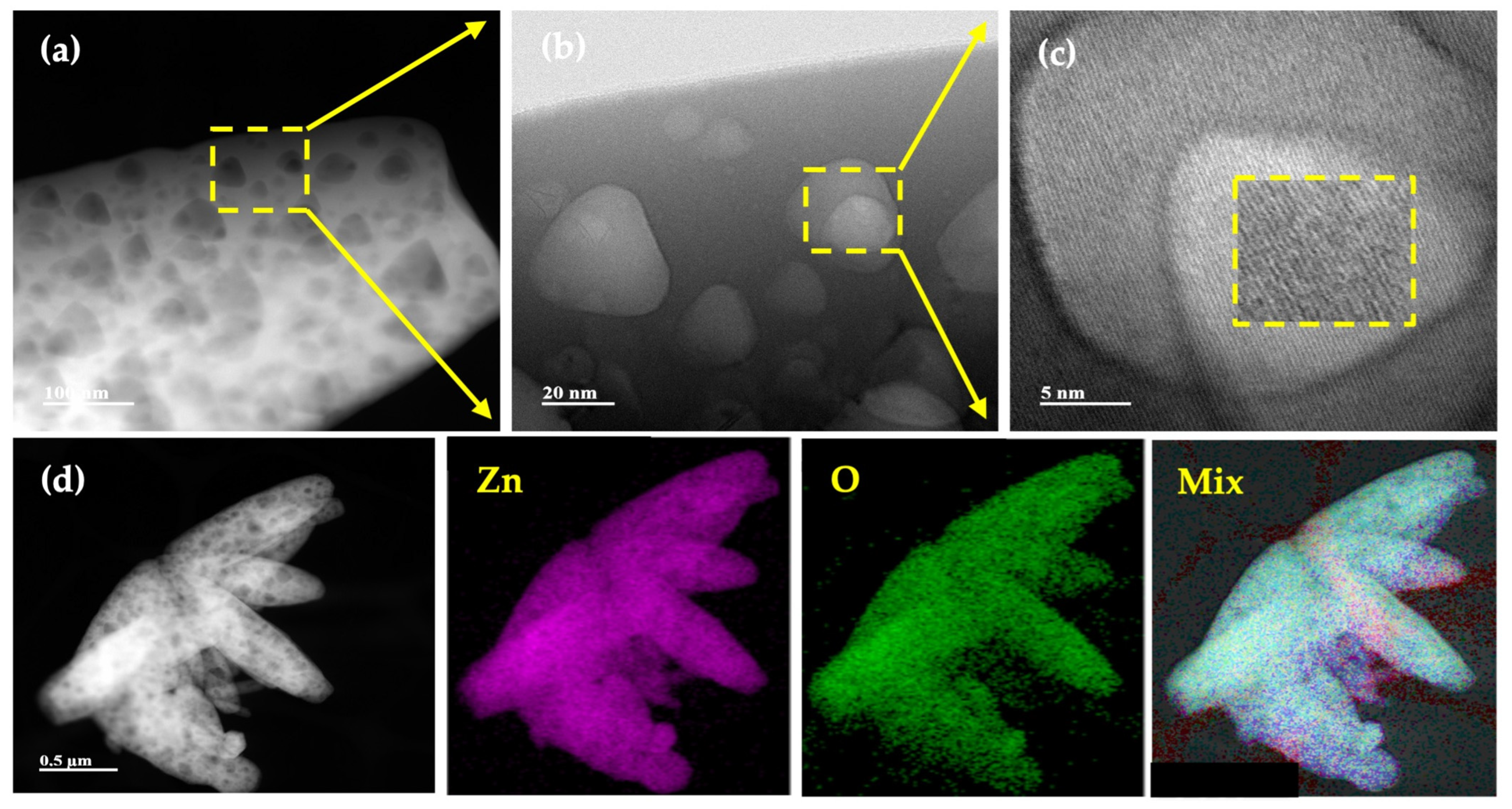Plants 12 03657 g002