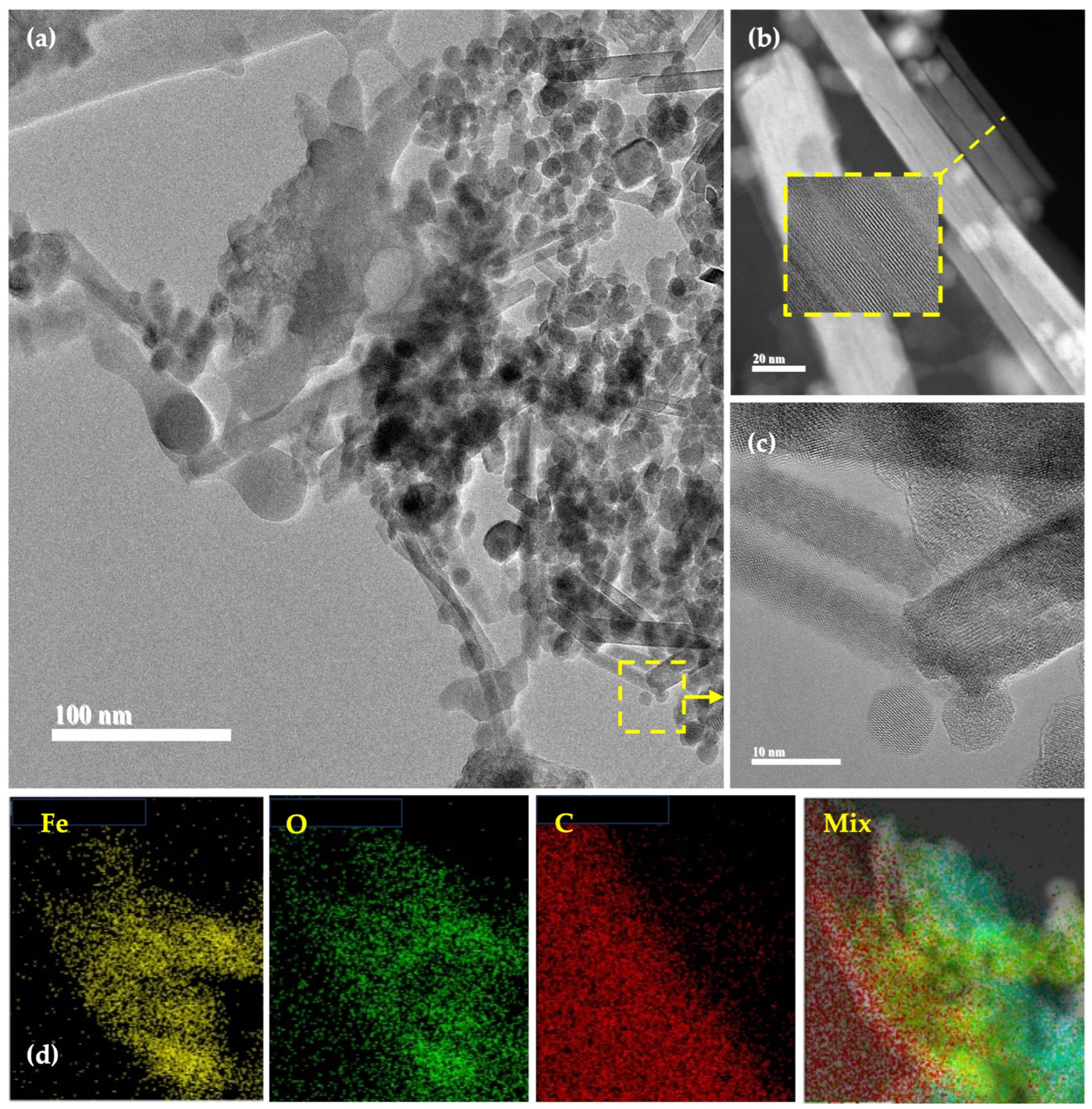 Plants 12 03657 g003