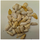 Plants 12 03660 i006