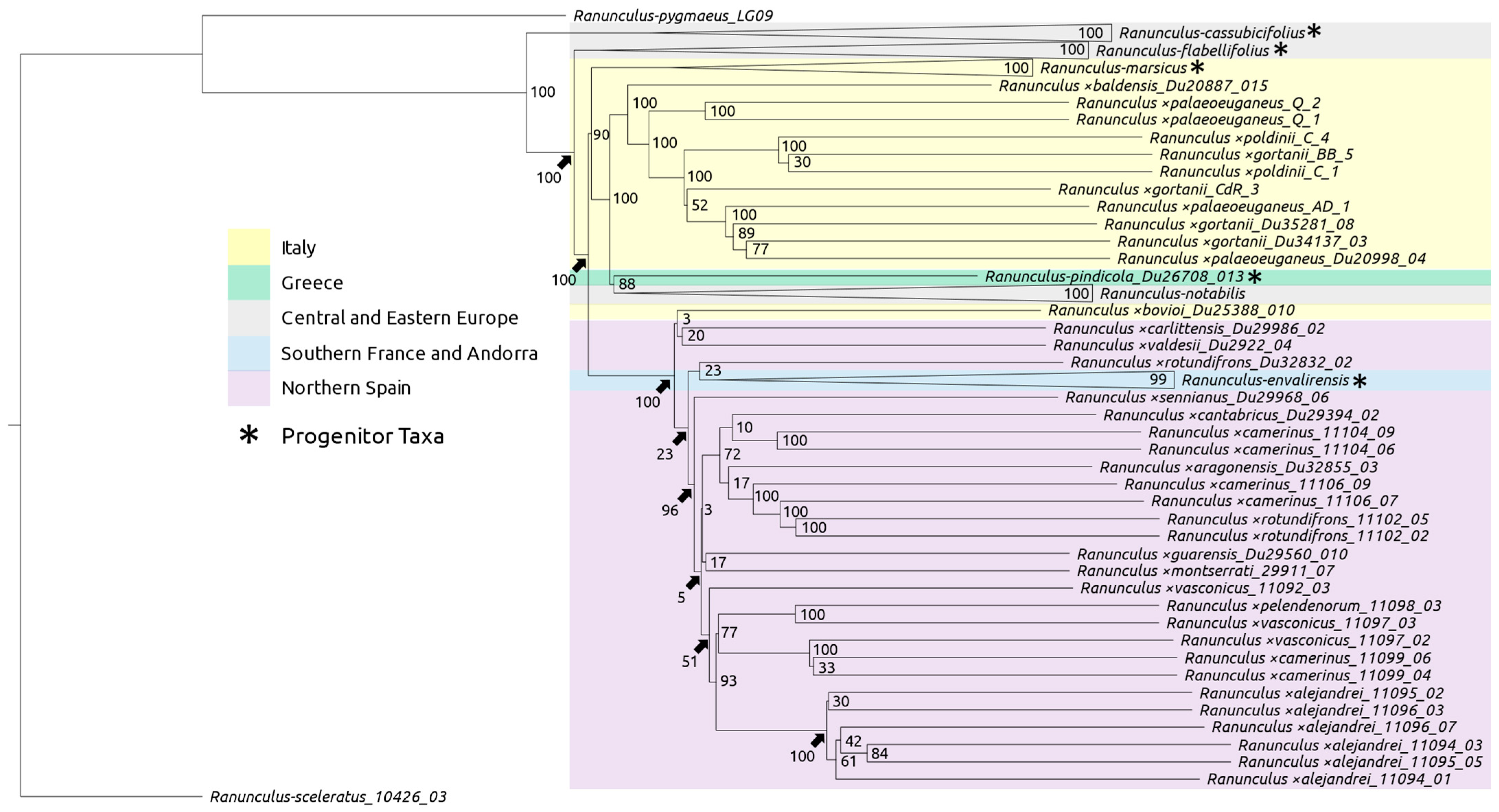 Plants 12 03664 g002