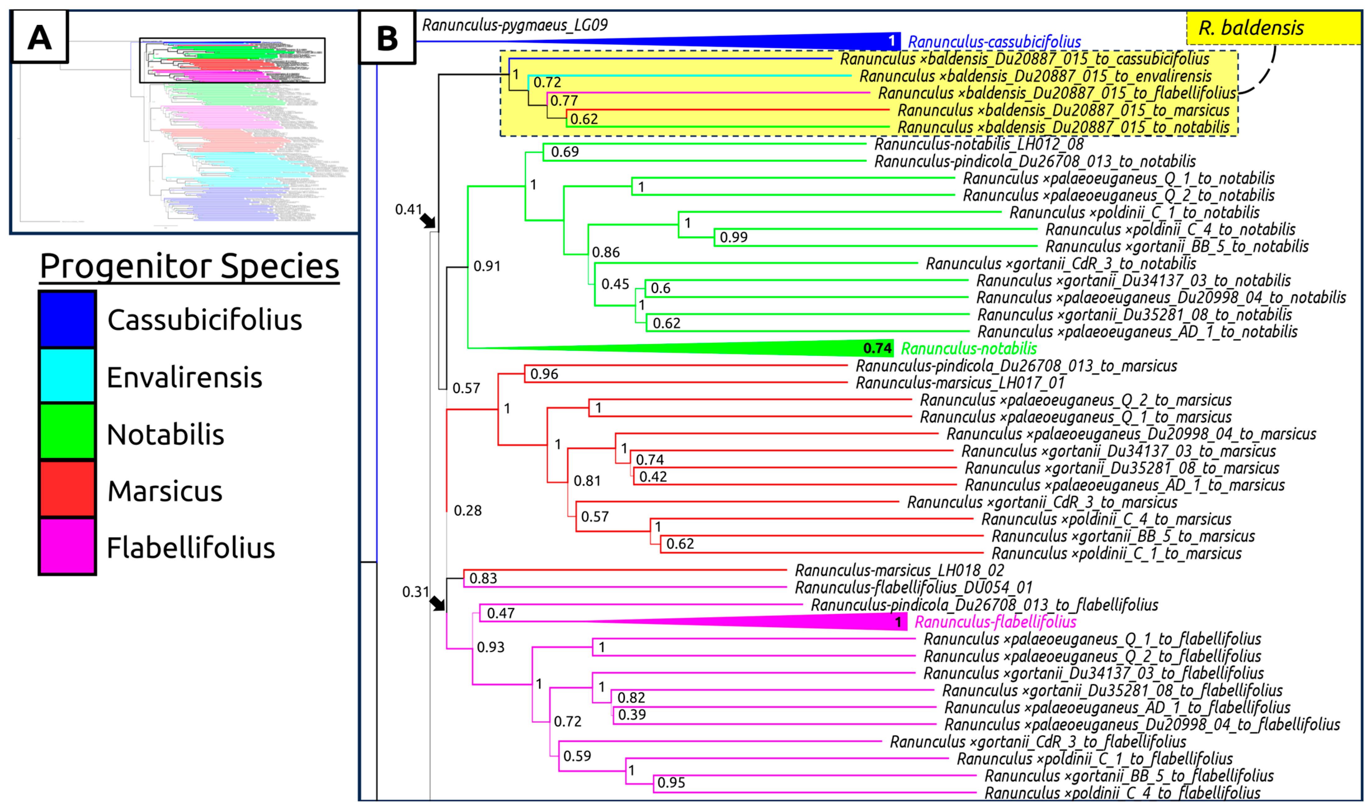 Plants 12 03664 g004