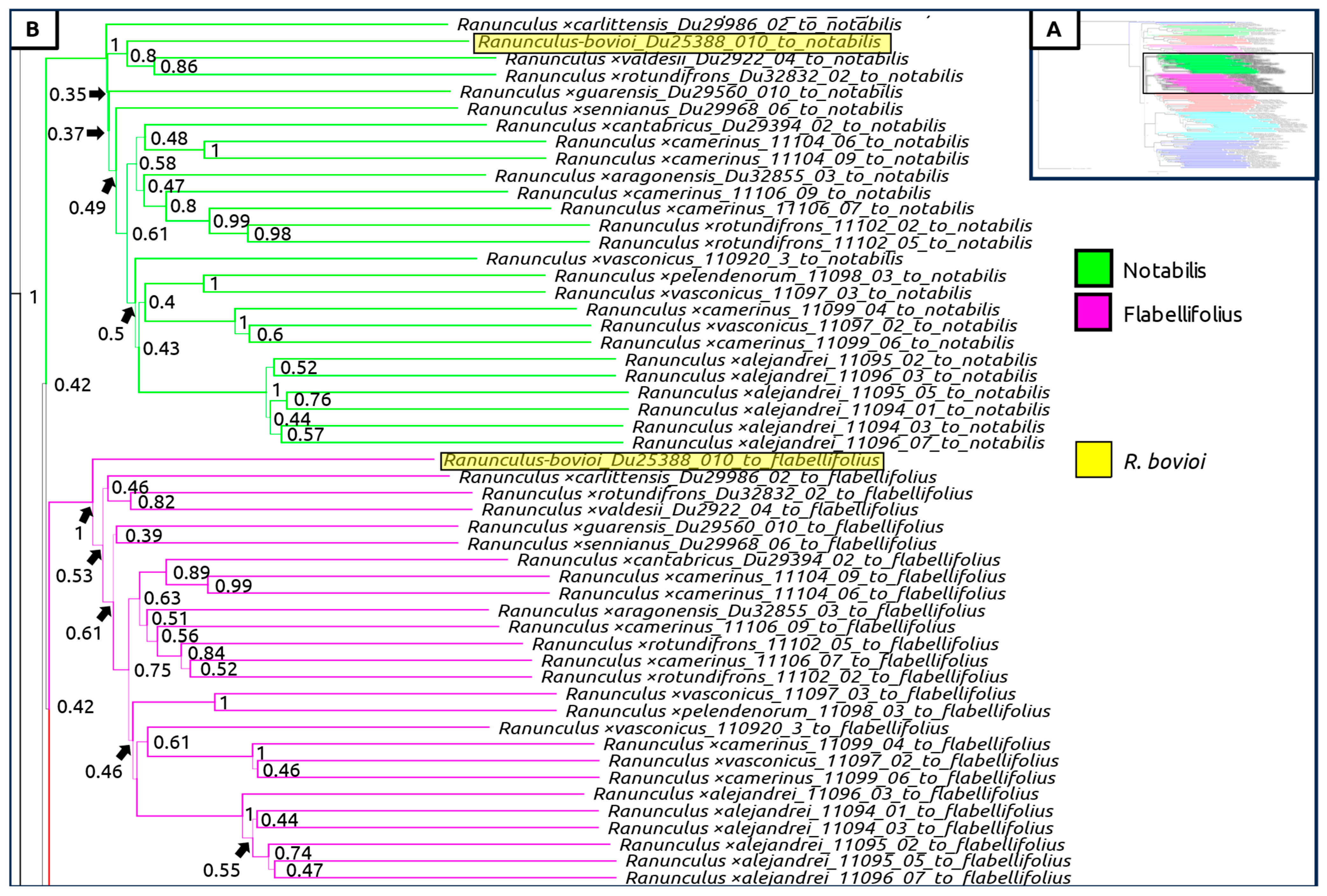 Plants 12 03664 g005