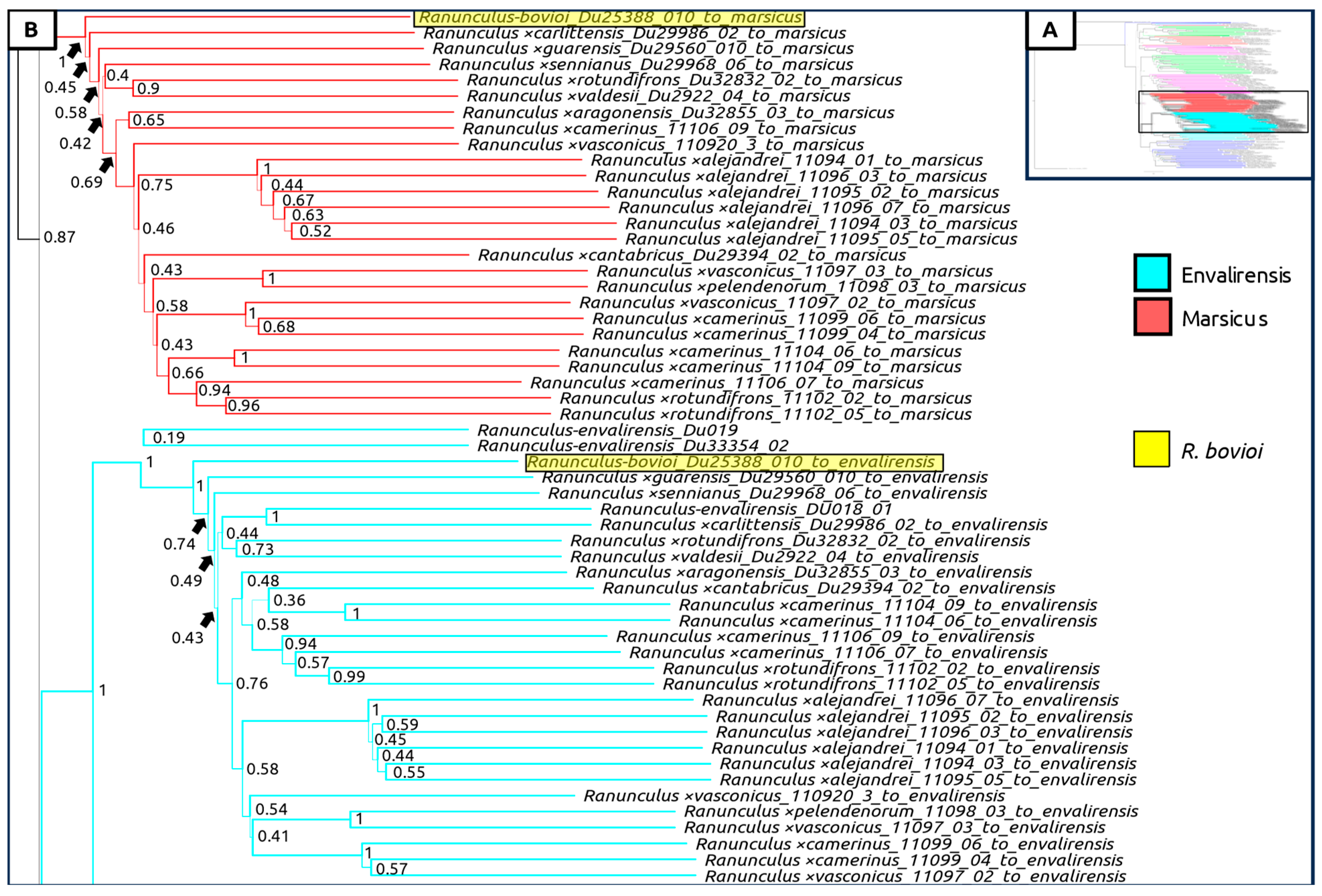 Plants 12 03664 g006